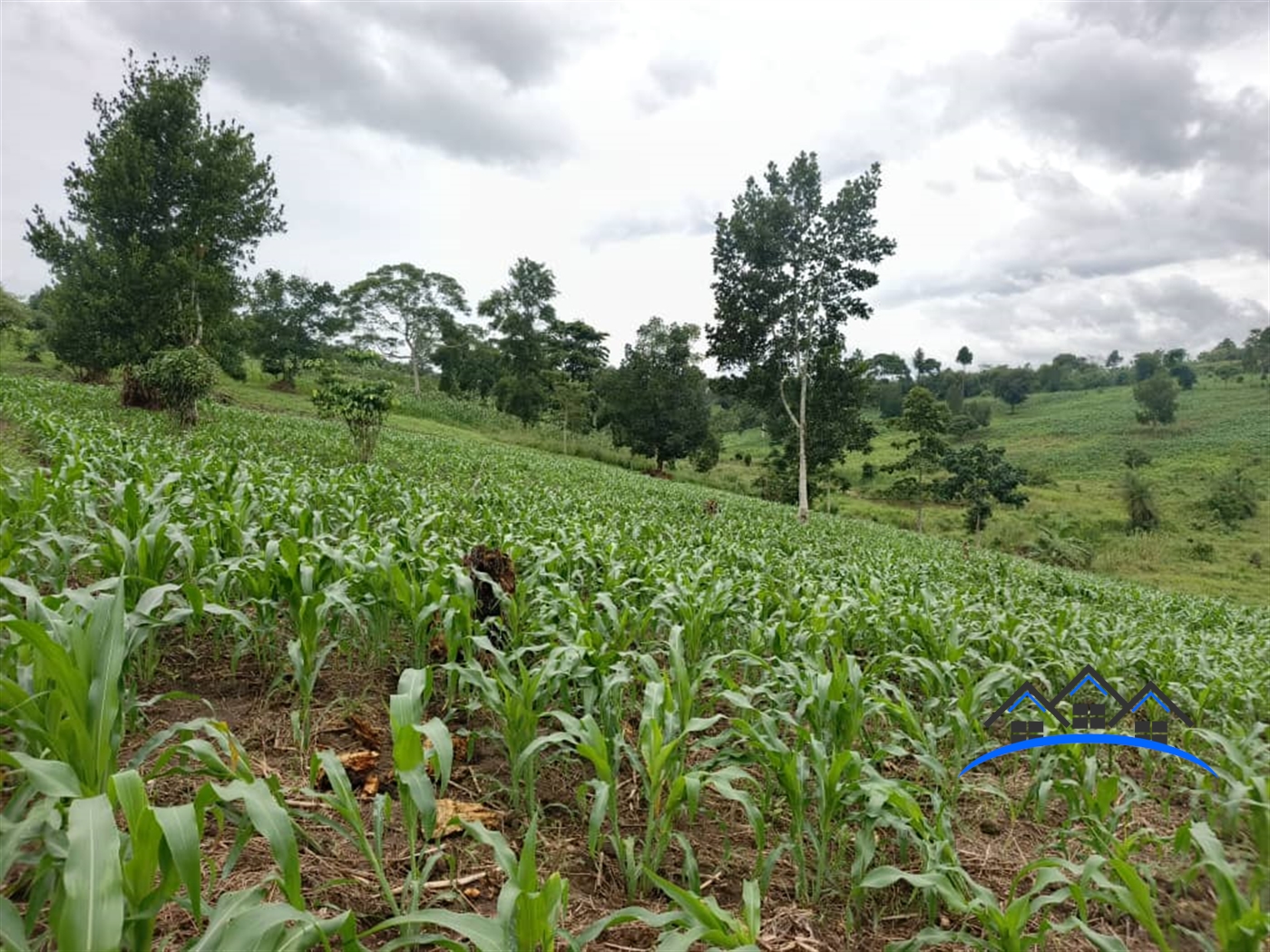 Residential Land for sale in Jjeza Mpigi