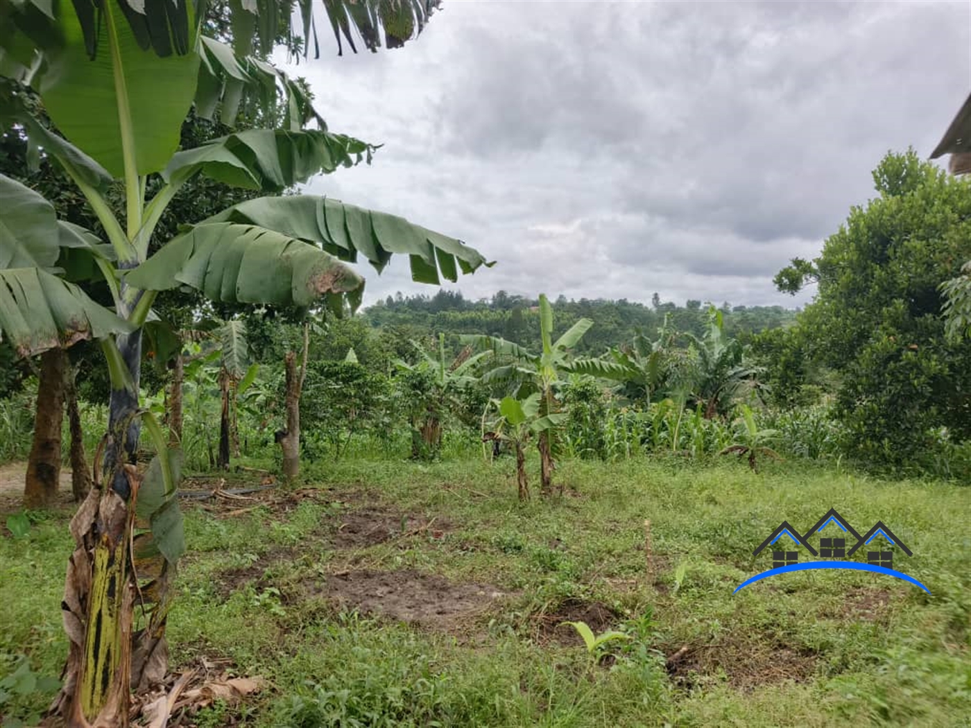 Residential Land for sale in Jjeza Mpigi