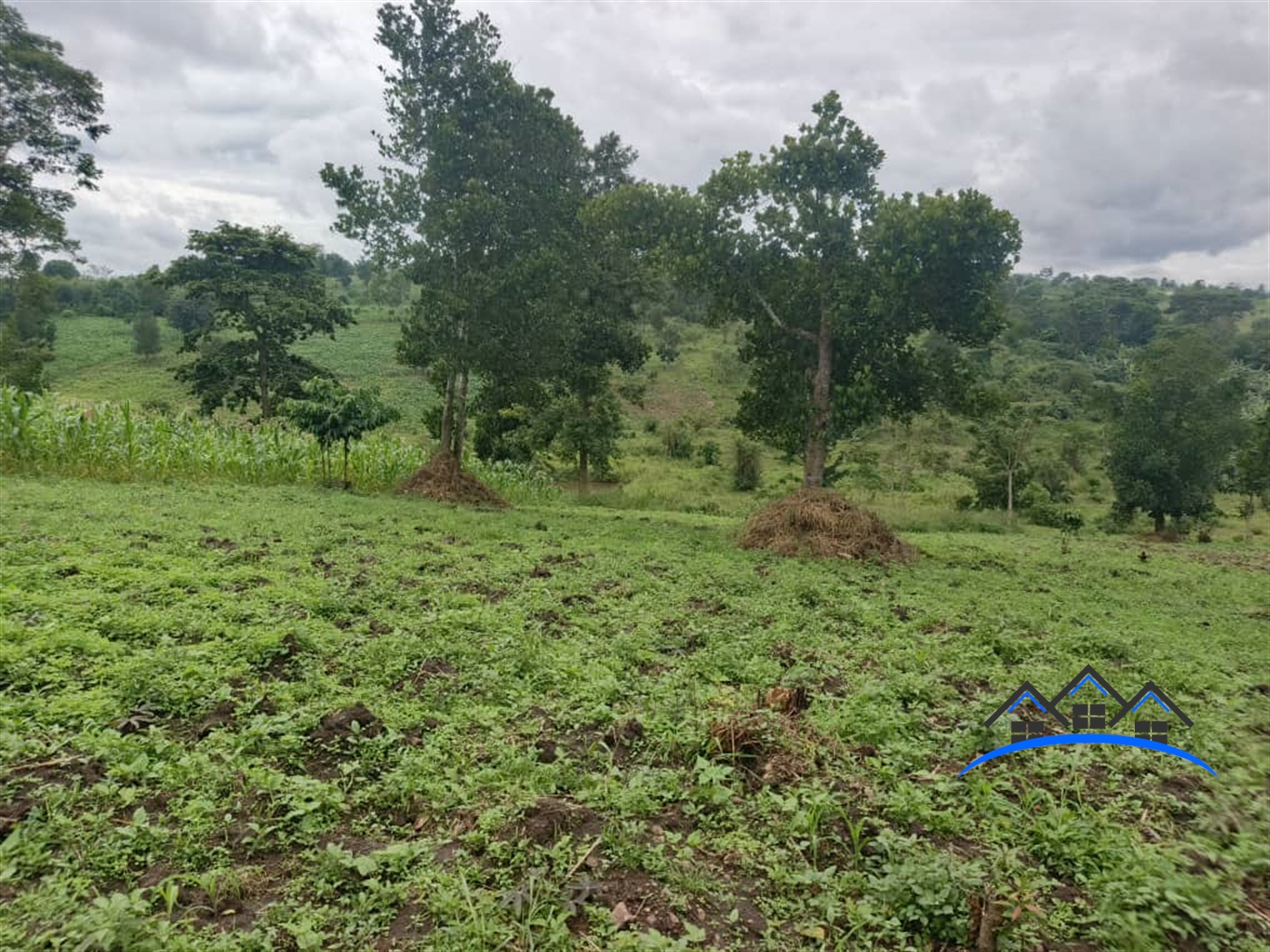 Residential Land for sale in Jjeza Mpigi