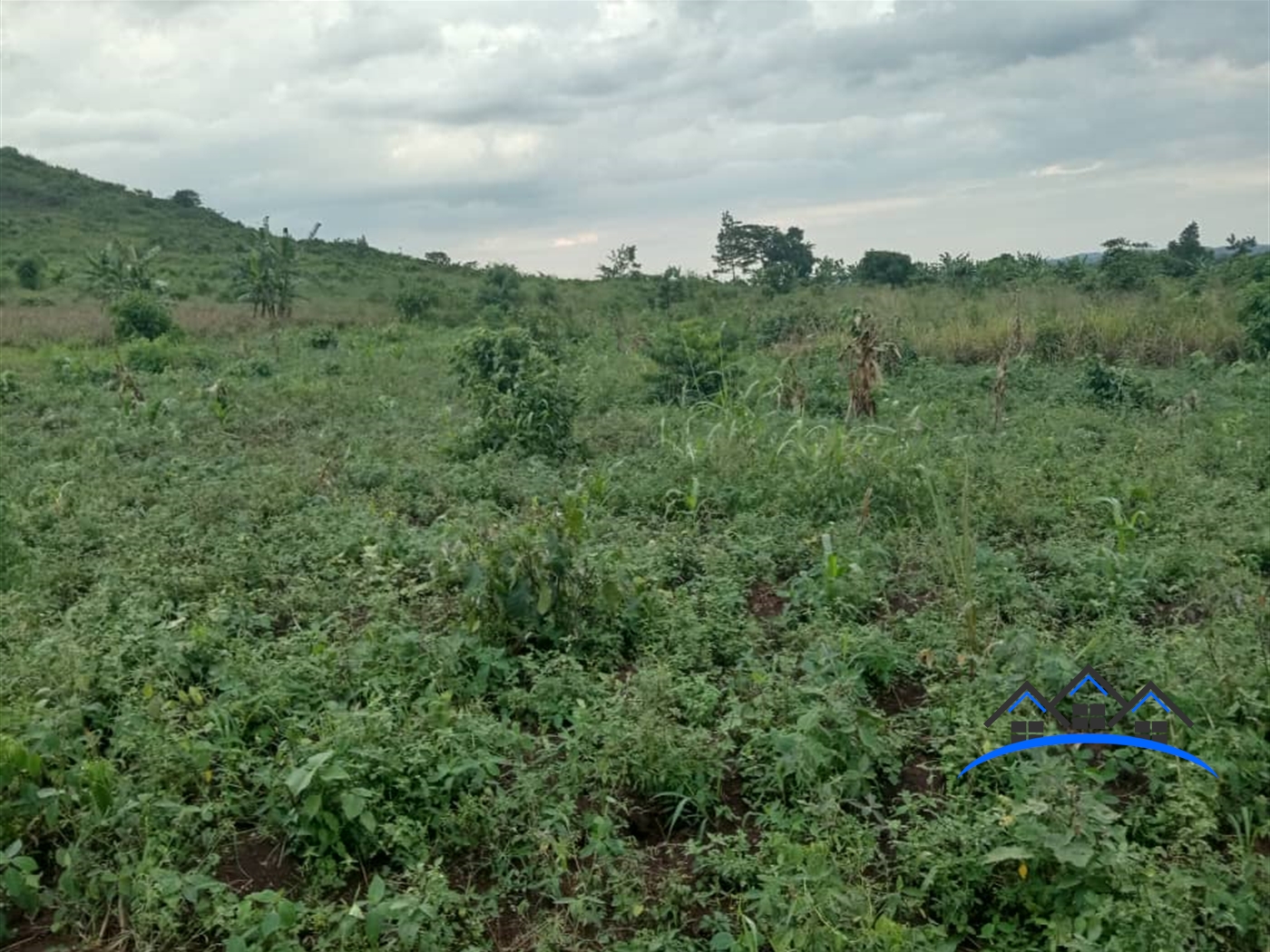 Residential Land for sale in Kakuuto Rakai