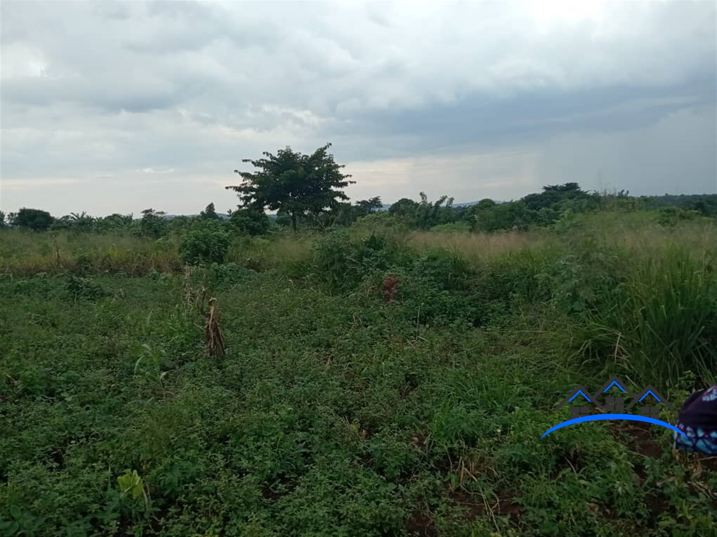 Residential Land for sale in Kakuuto Rakai