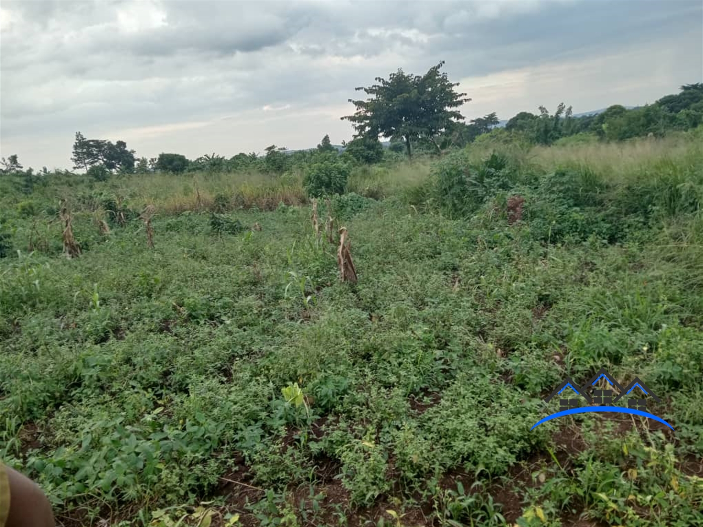 Residential Land for sale in Kakuuto Rakai