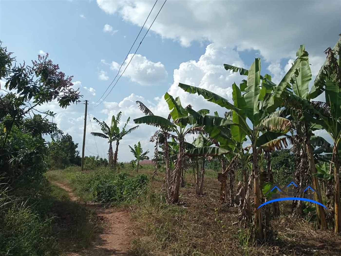 Residential Land for sale in Mbuya Wakiso