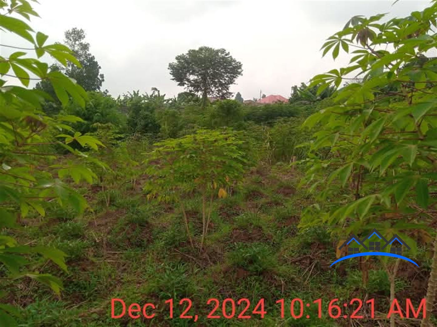 Residential Land for sale in Namugongo Wakiso