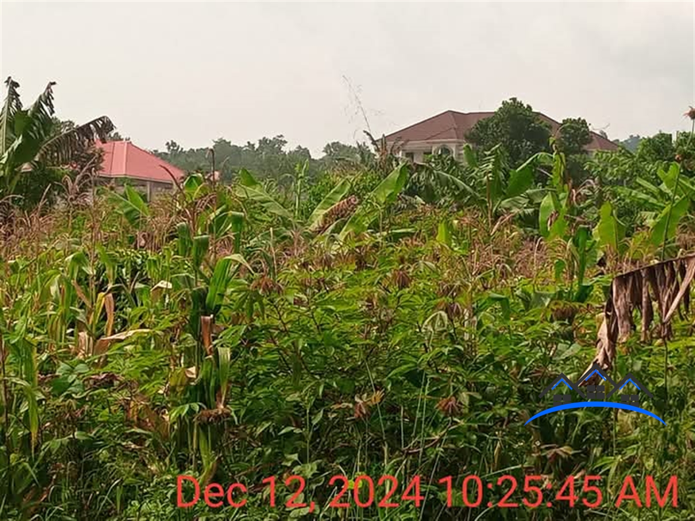 Residential Land for sale in Namugongo Wakiso