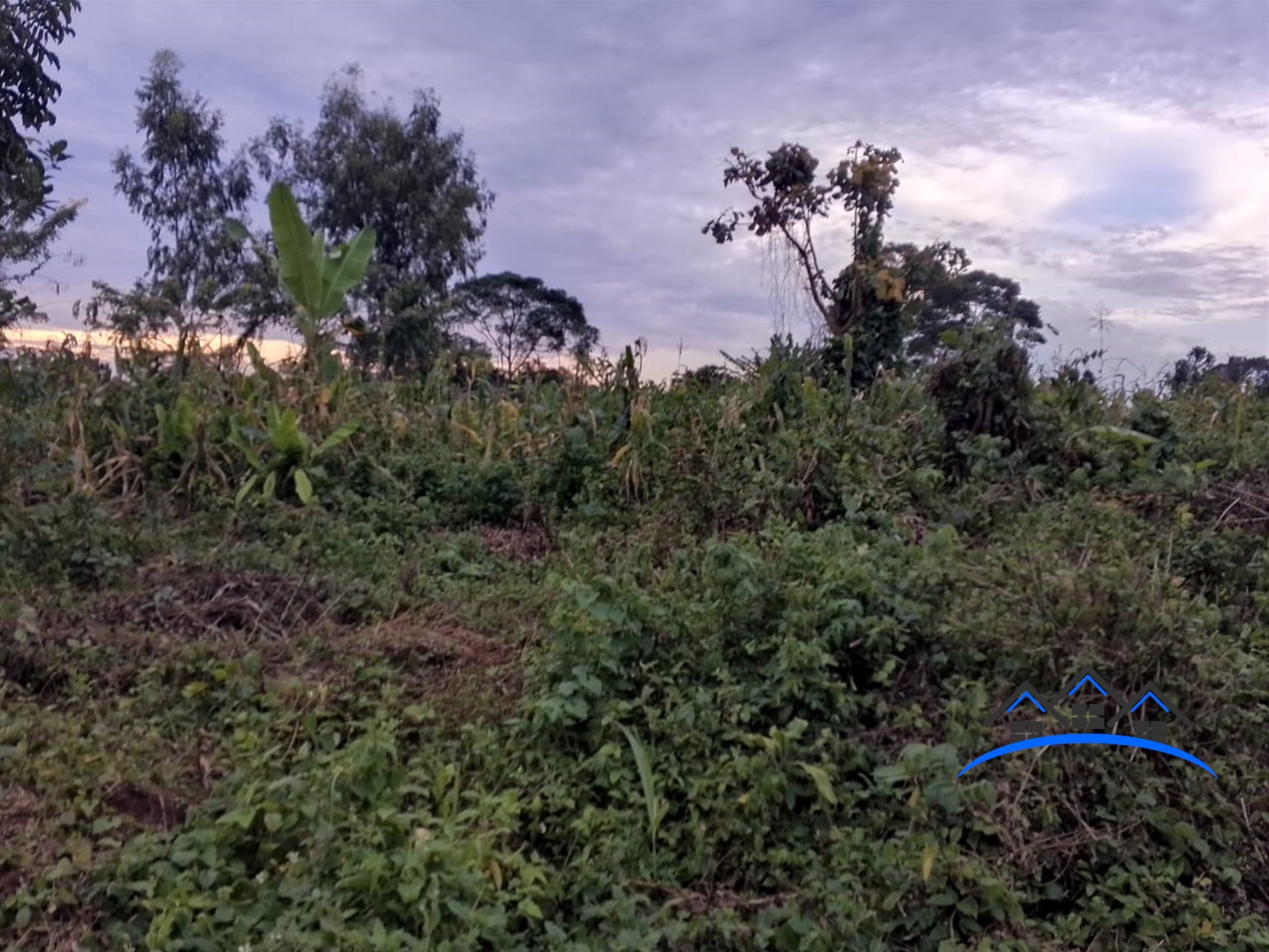 Residential Land for sale in Busukuma Wakiso