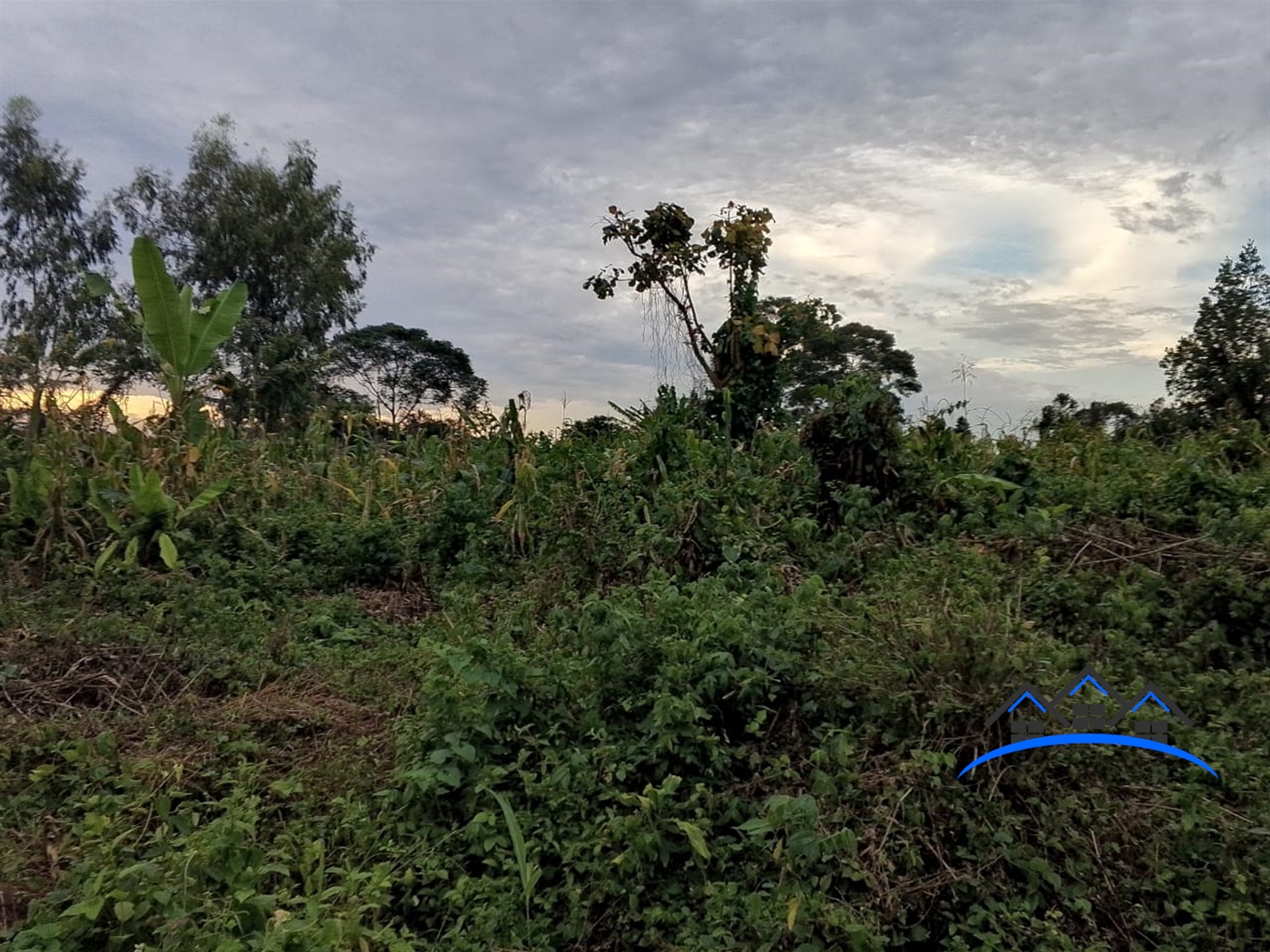 Residential Land for sale in Busukuma Wakiso