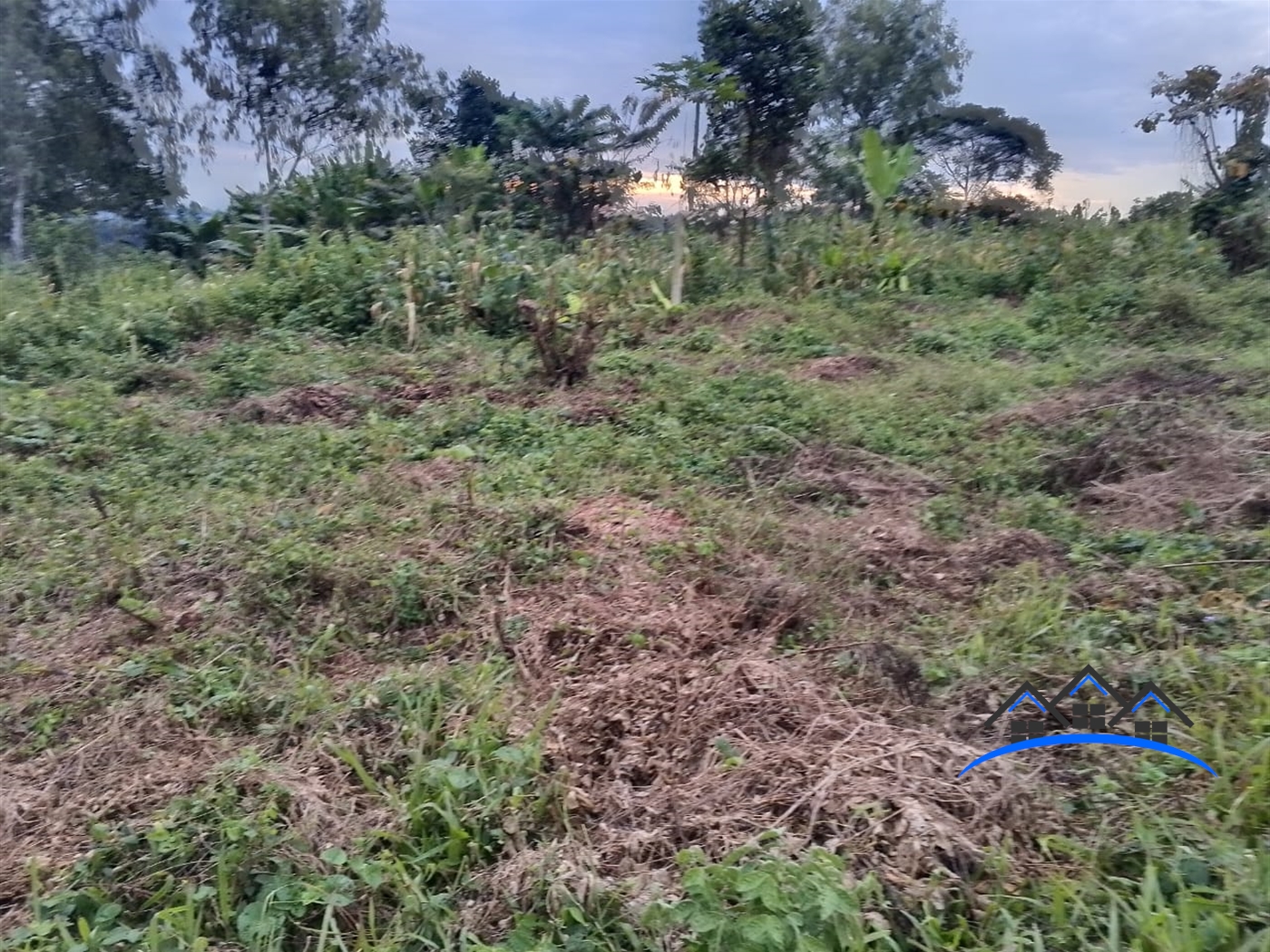 Residential Land for sale in Busukuma Wakiso