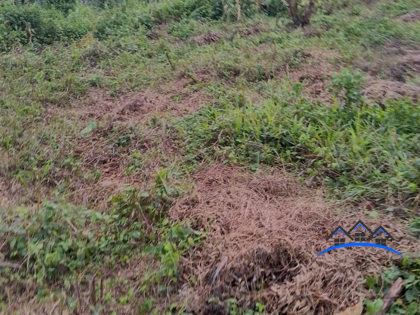 Residential Land for sale in Busukuma Wakiso