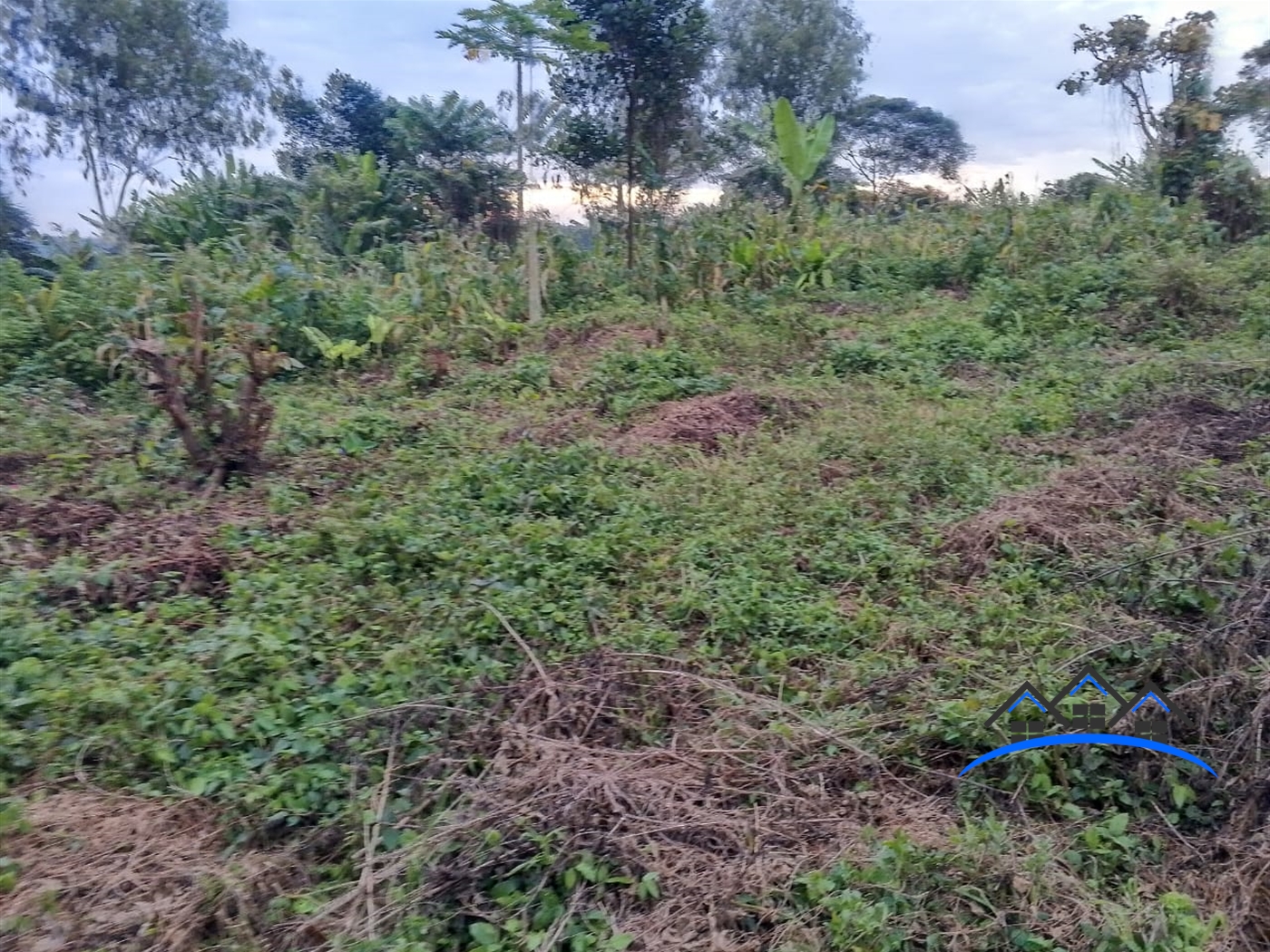 Residential Land for sale in Busukuma Wakiso