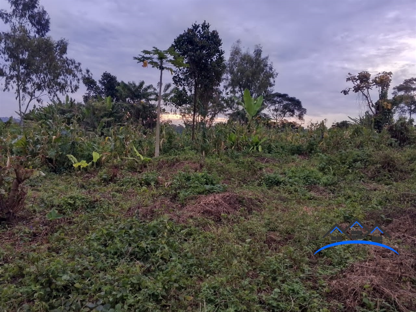 Residential Land for sale in Busukuma Wakiso