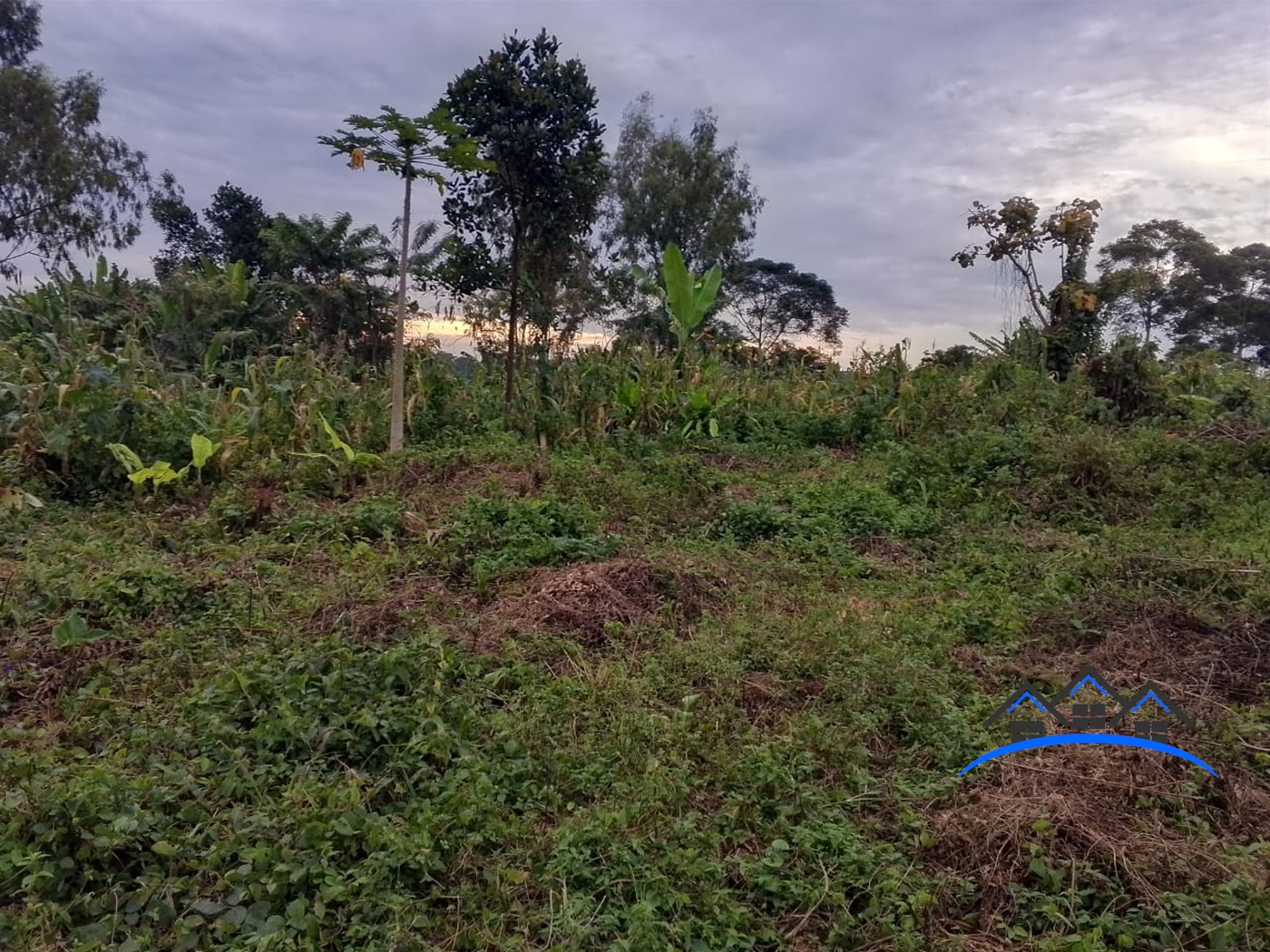 Residential Land for sale in Busukuma Wakiso