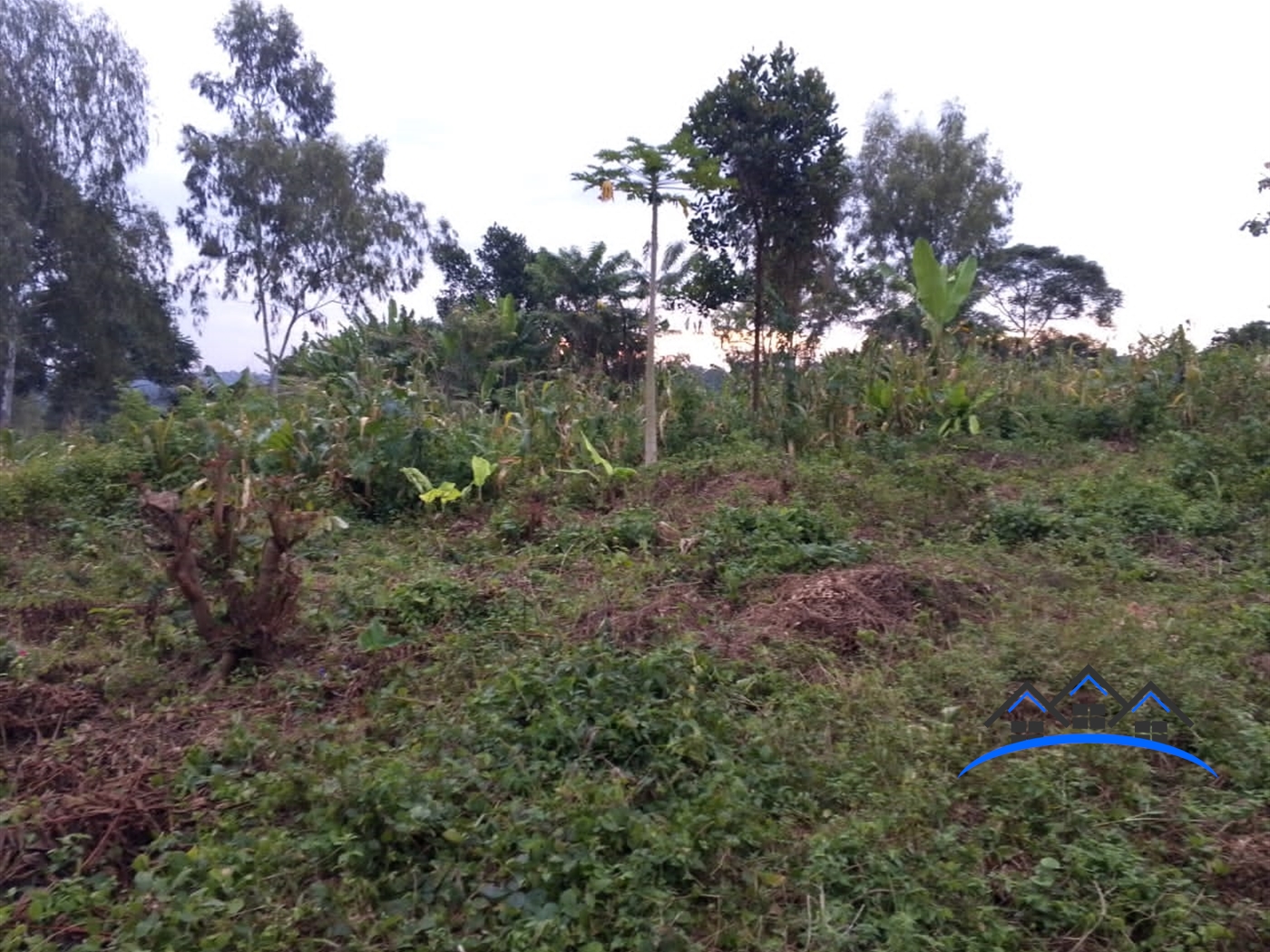 Residential Land for sale in Busukuma Wakiso