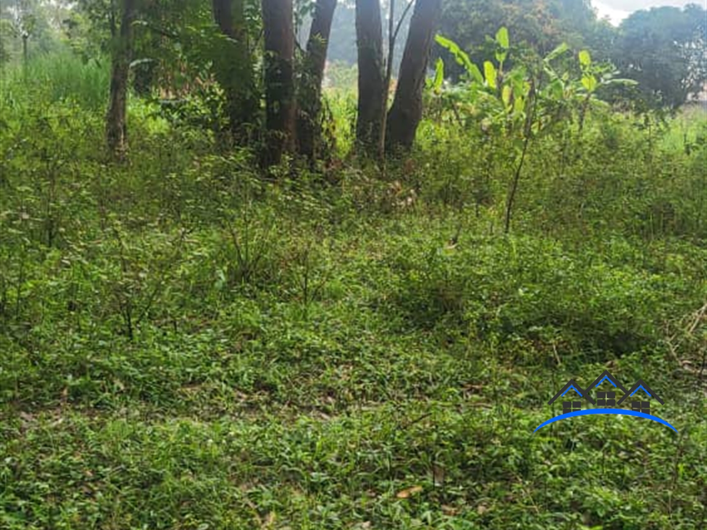 Residential Land for sale in Kigo Wakiso