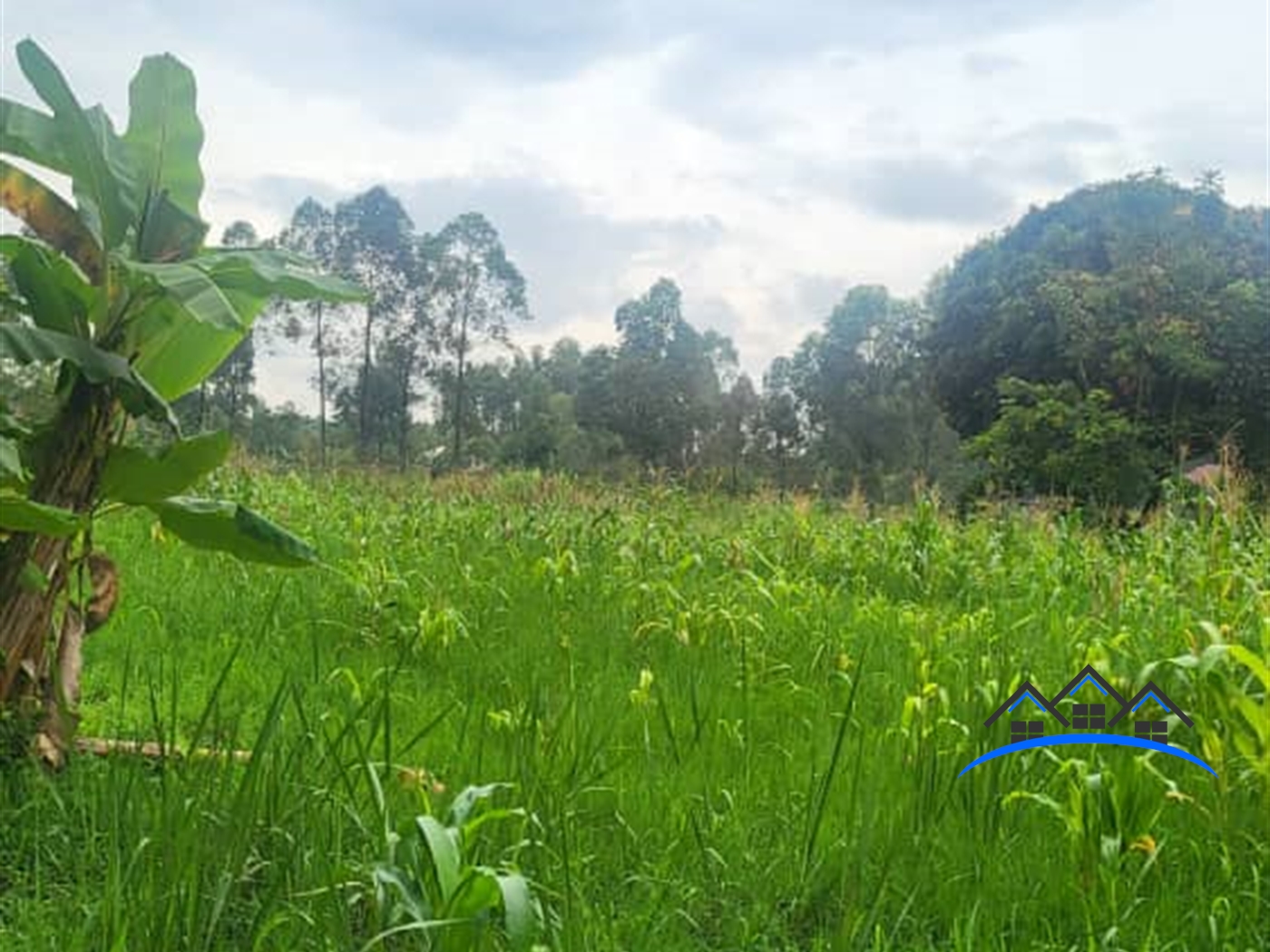 Residential Land for sale in Kigo Wakiso