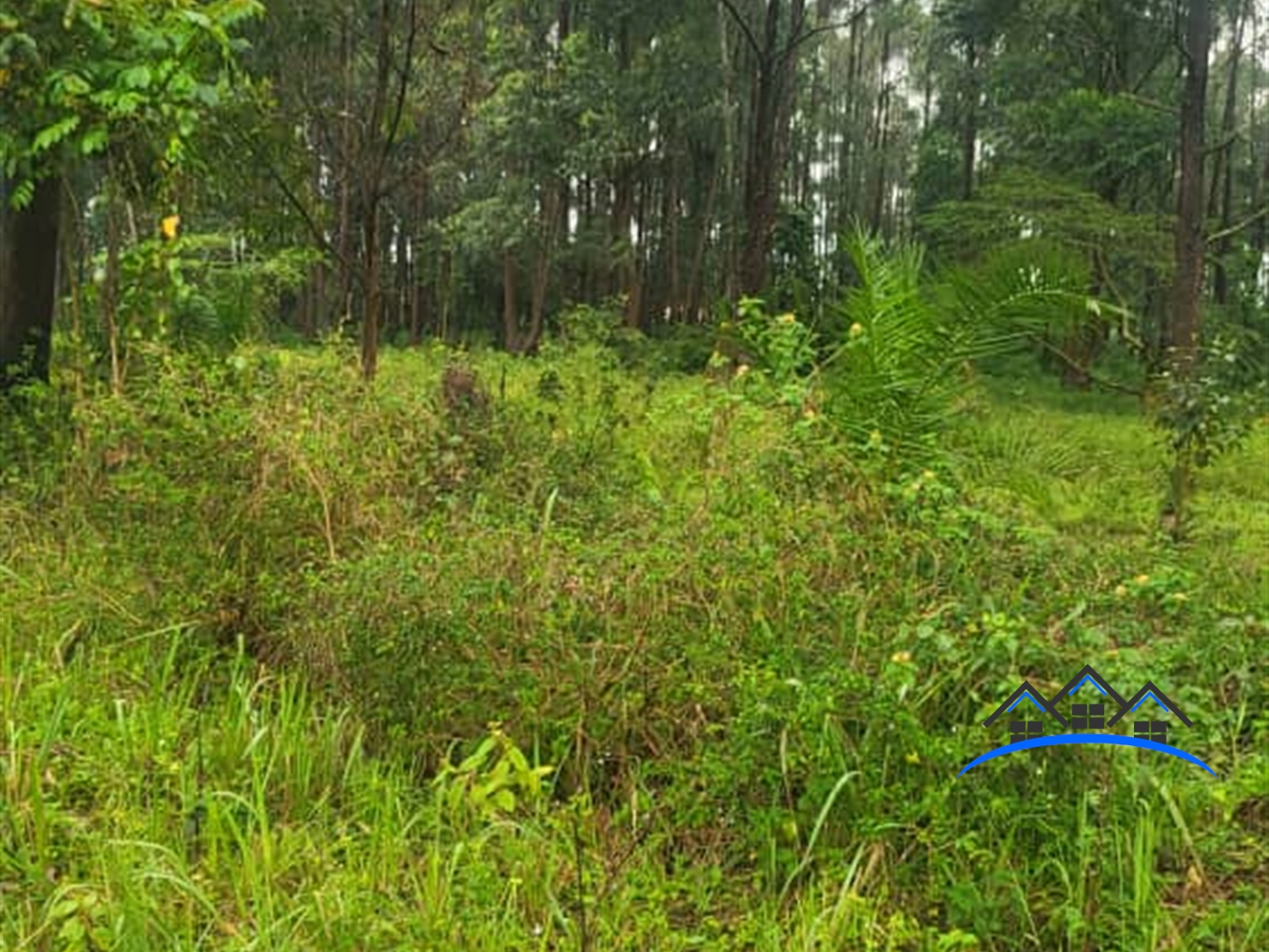 Residential Land for sale in Kigo Wakiso