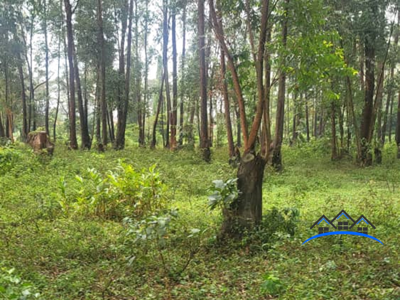 Residential Land for sale in Kigo Wakiso