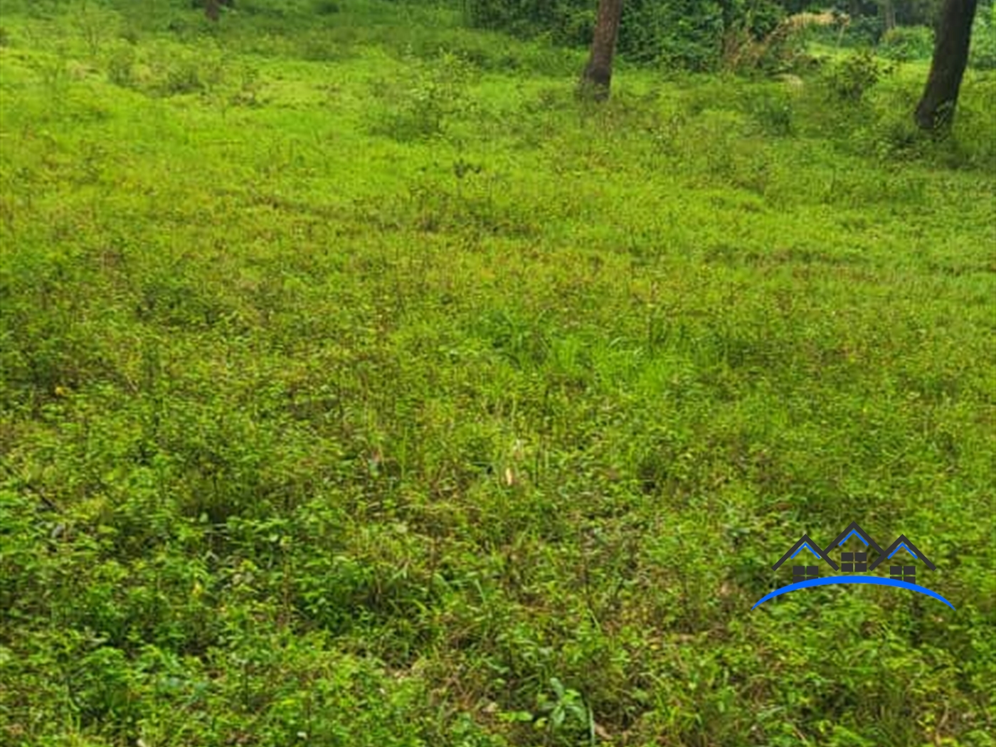 Residential Land for sale in Kigo Wakiso