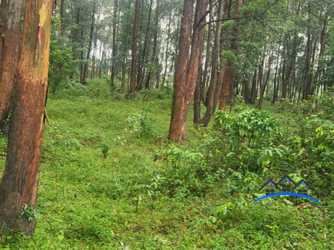 Residential Land for sale in Kigo Wakiso