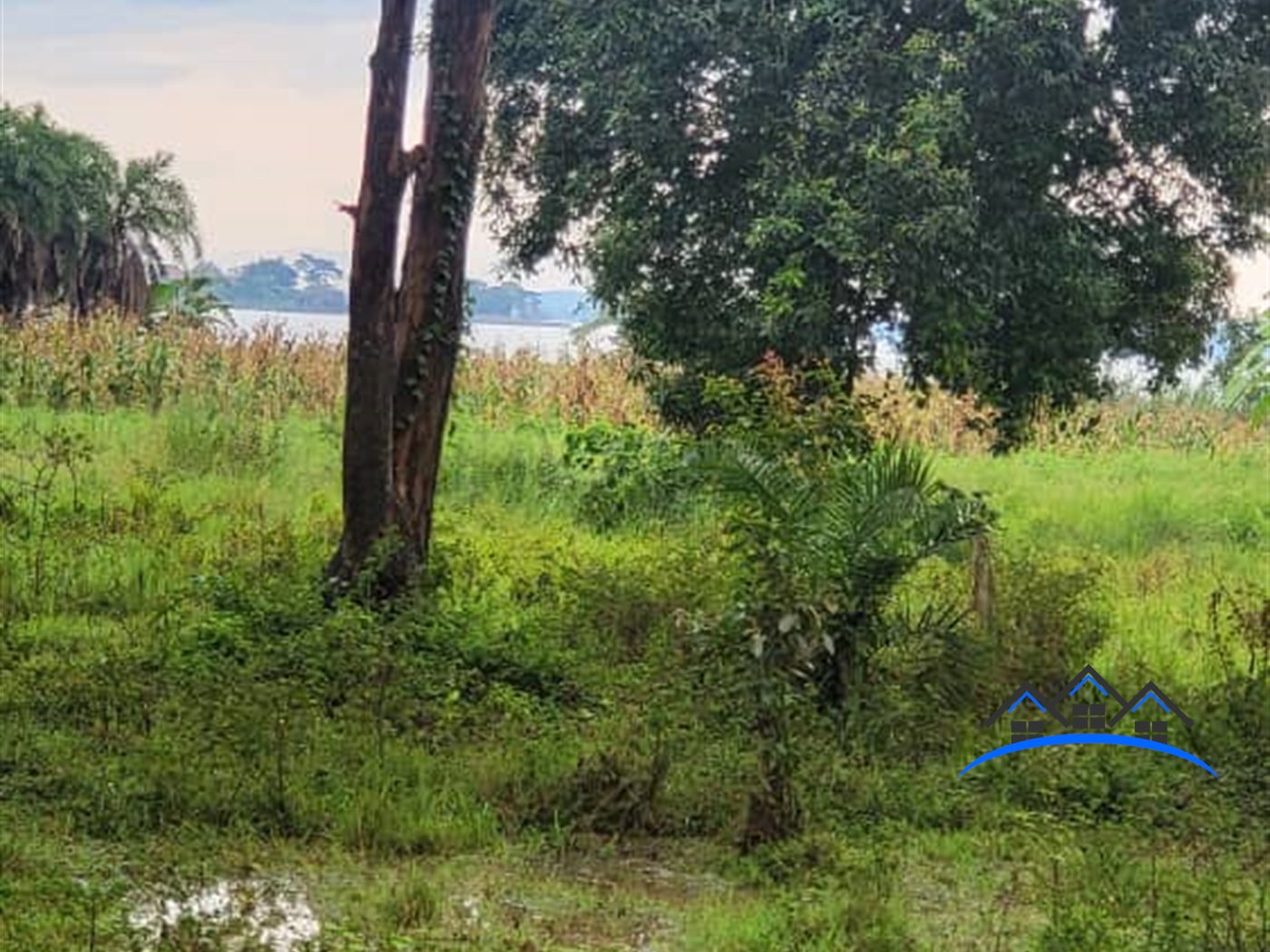 Residential Land for sale in Kigo Wakiso