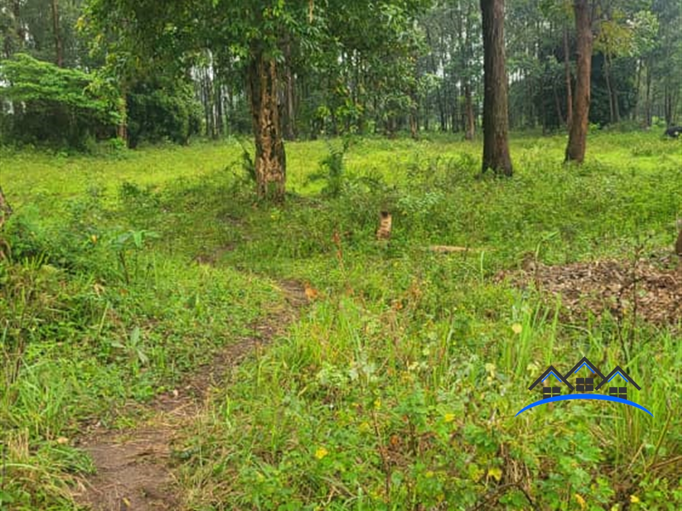 Residential Land for sale in Kigo Wakiso