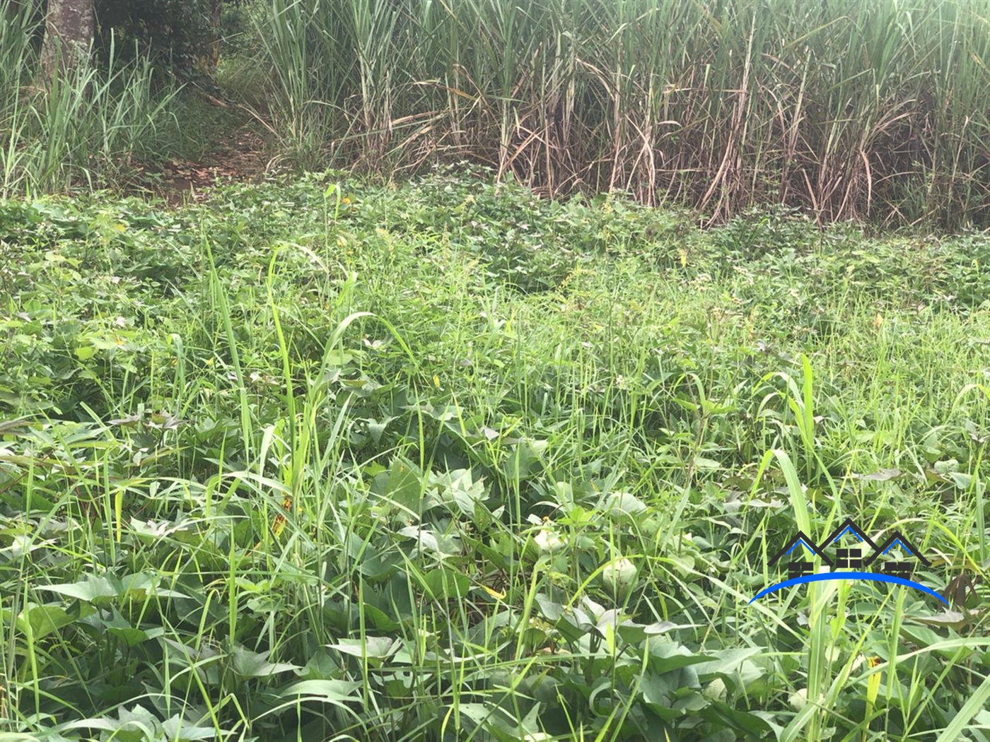 Residential Land for sale in Namataba Mukono