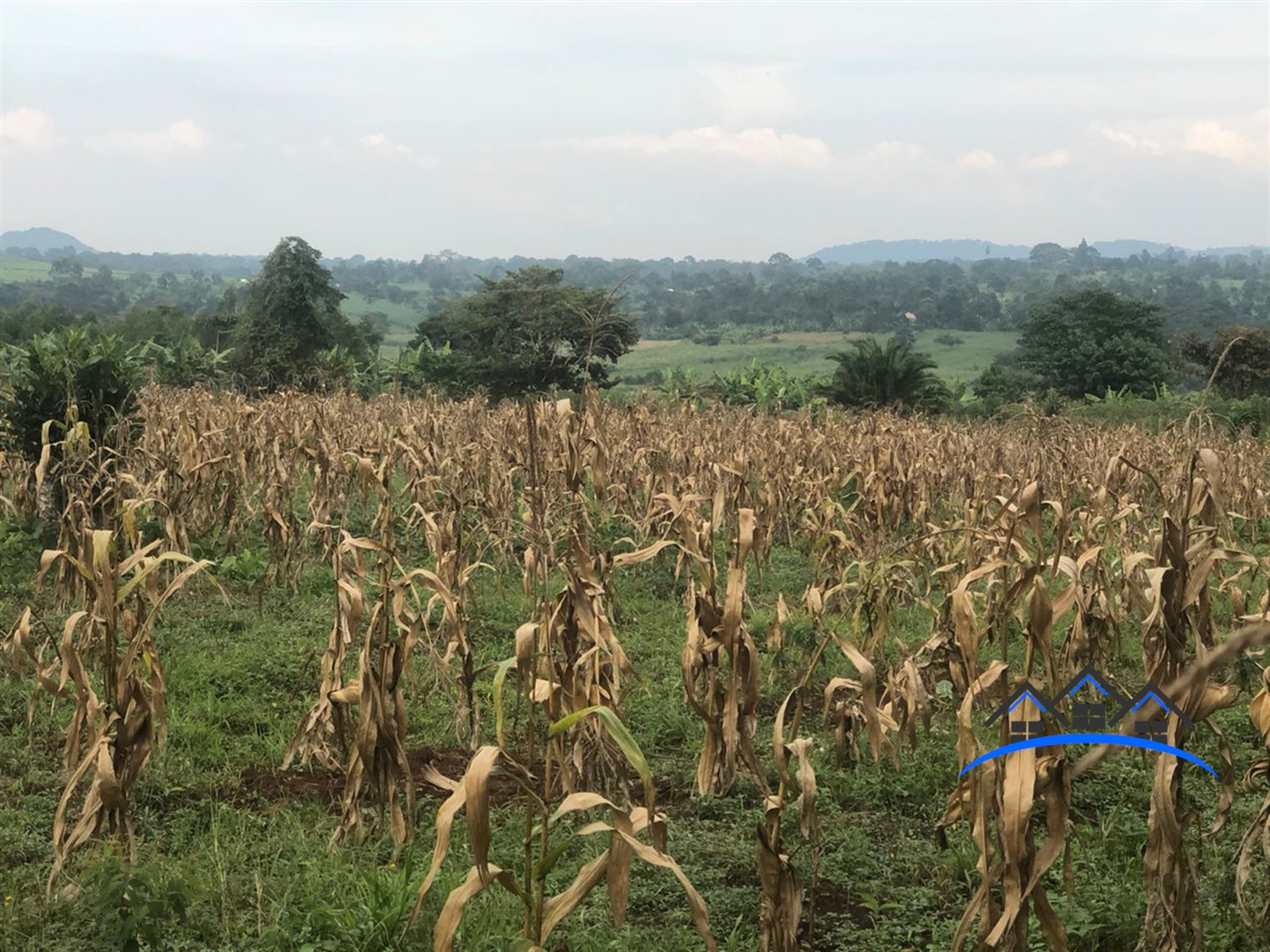 Residential Land for sale in Namataba Mukono