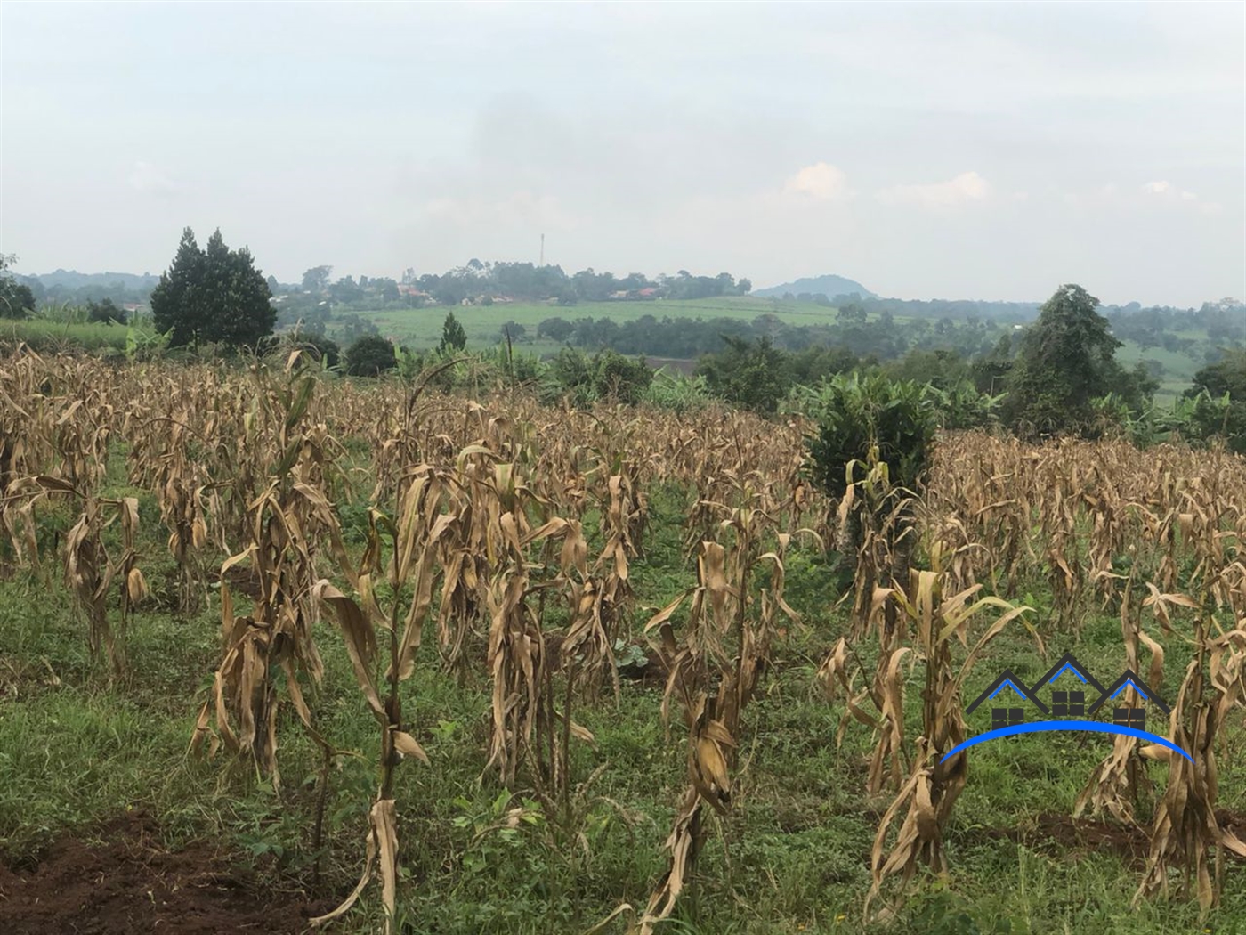 Residential Land for sale in Namataba Mukono