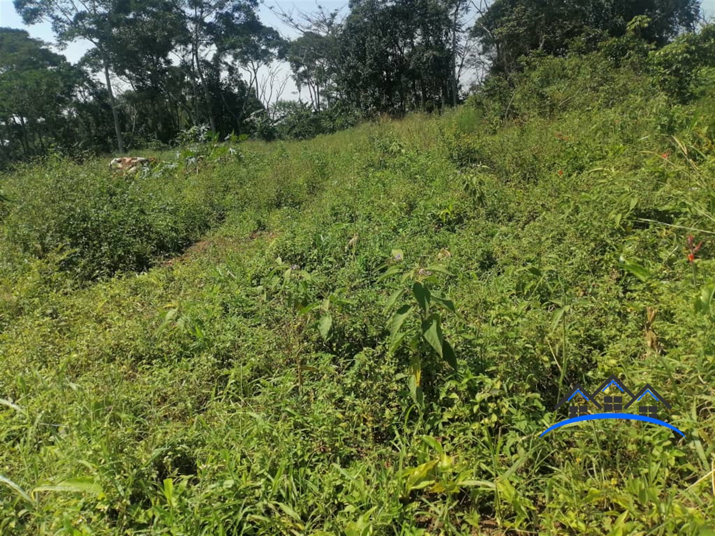 Residential Land for sale in Kalagi Mukono