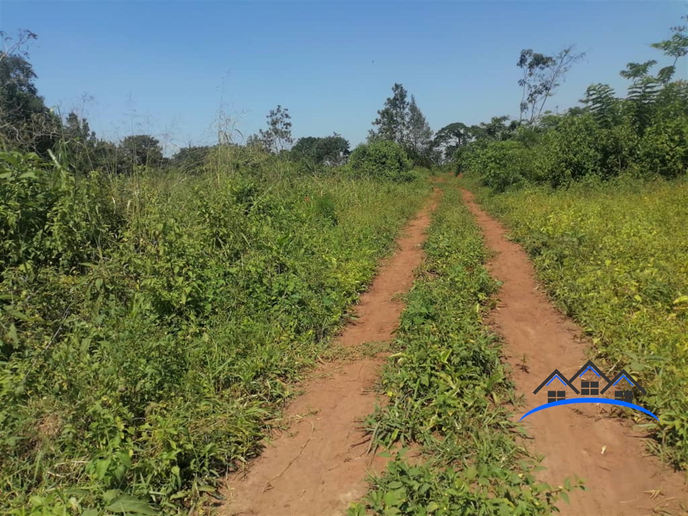 Residential Land for sale in Kalagi Mukono