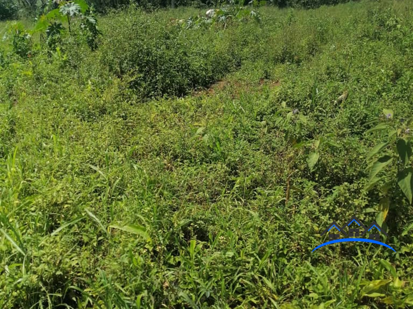 Residential Land for sale in Kalagi Mukono