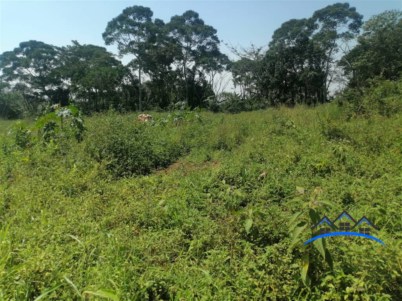 Residential Land for sale in Kalagi Mukono