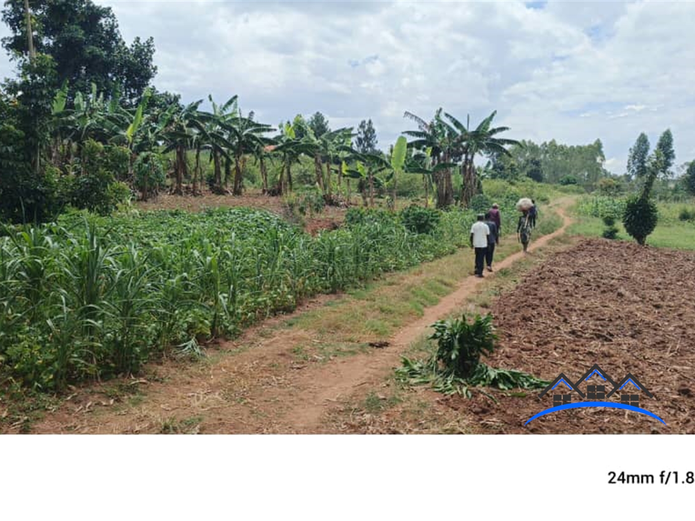 Residential Land for sale in Kabubbu Wakiso