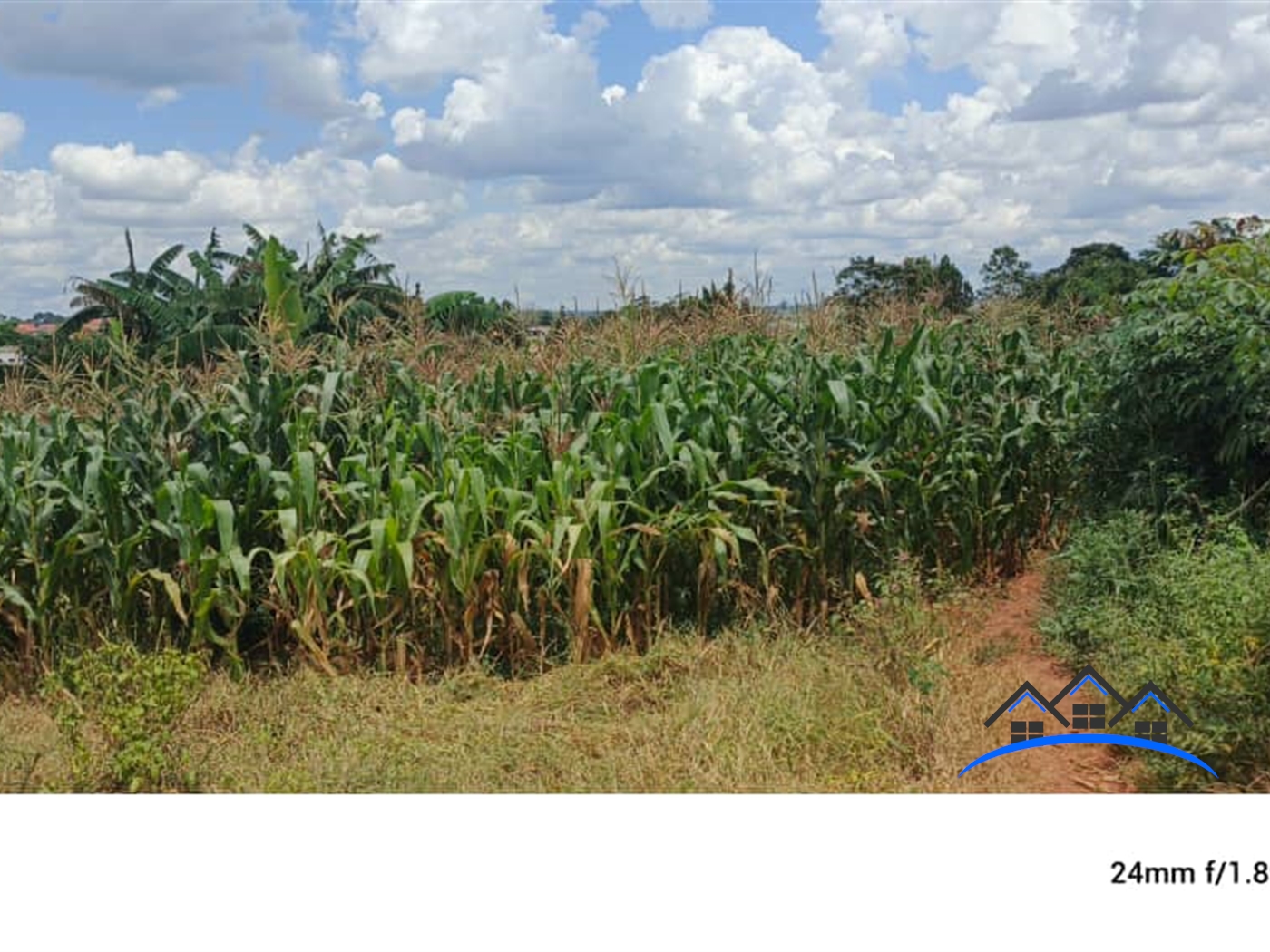 Residential Land for sale in Kabubbu Wakiso