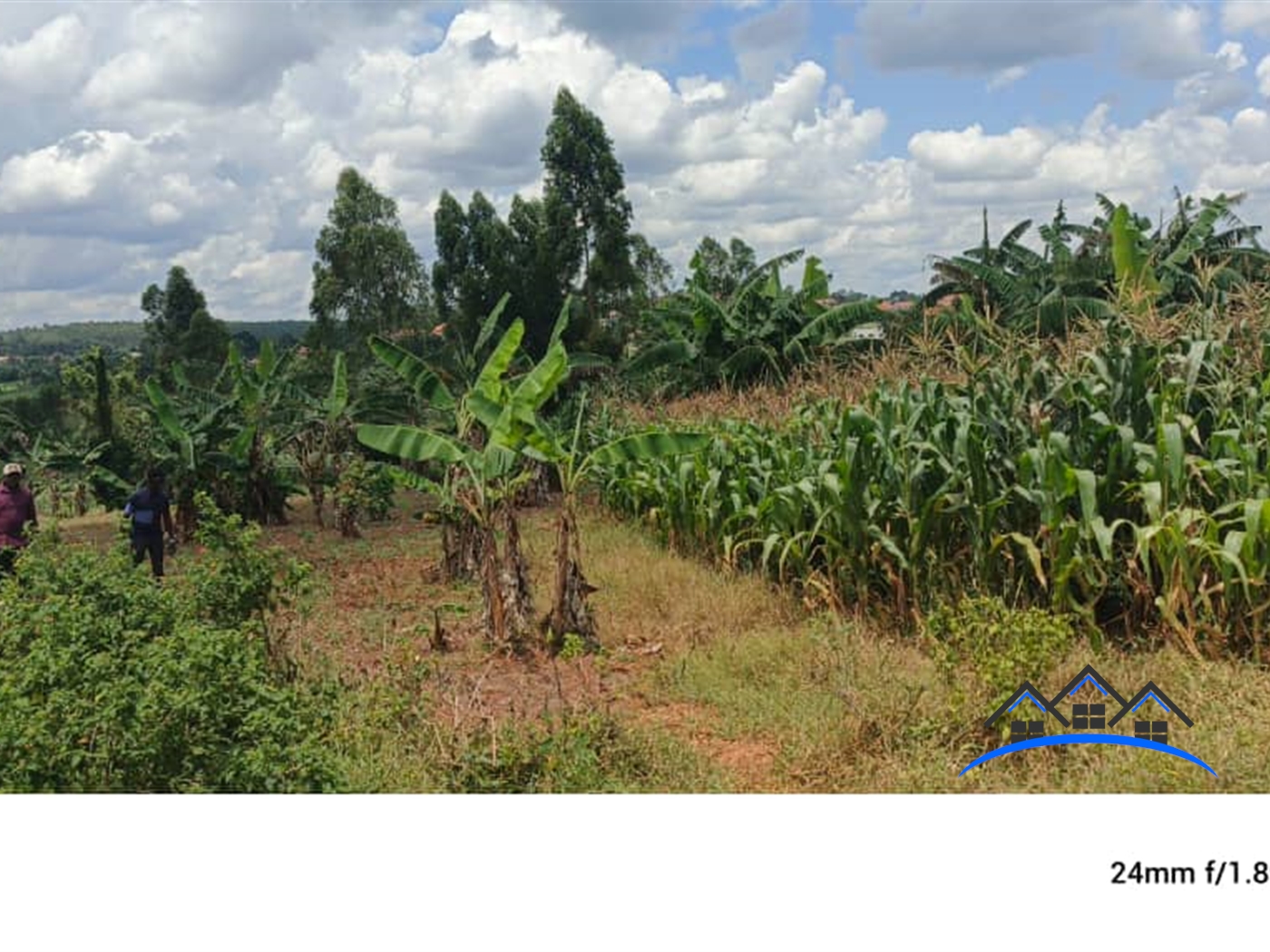 Residential Land for sale in Kabubbu Wakiso