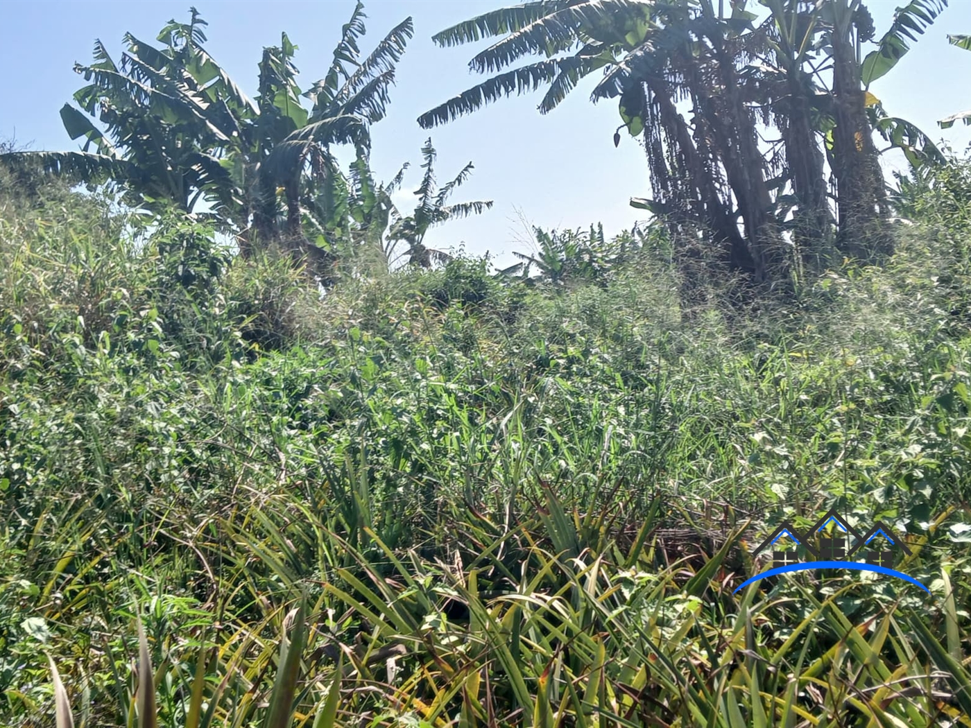 Agricultural Land for sale in Kabunyate Luweero