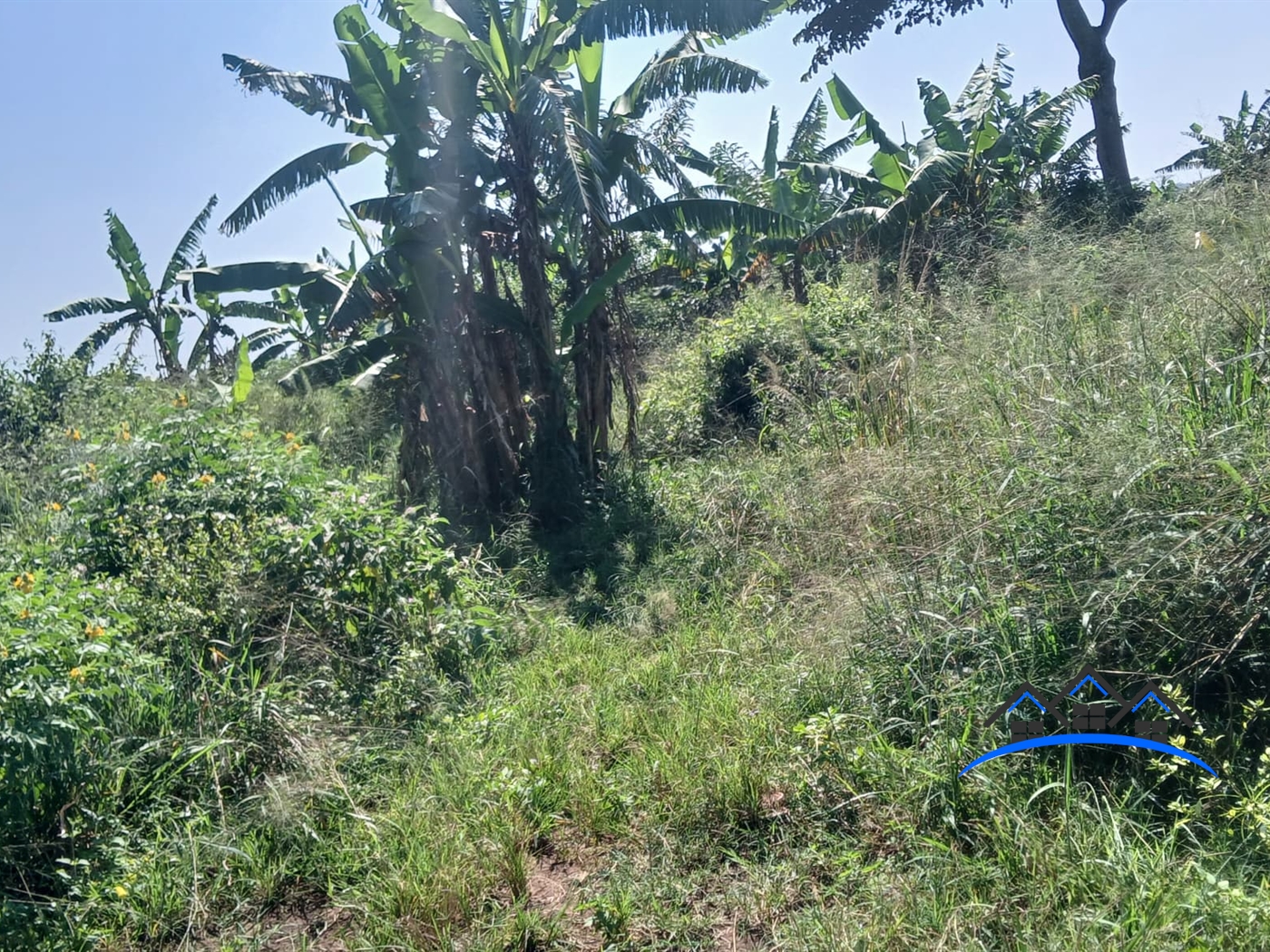 Agricultural Land for sale in Kabunyate Luweero