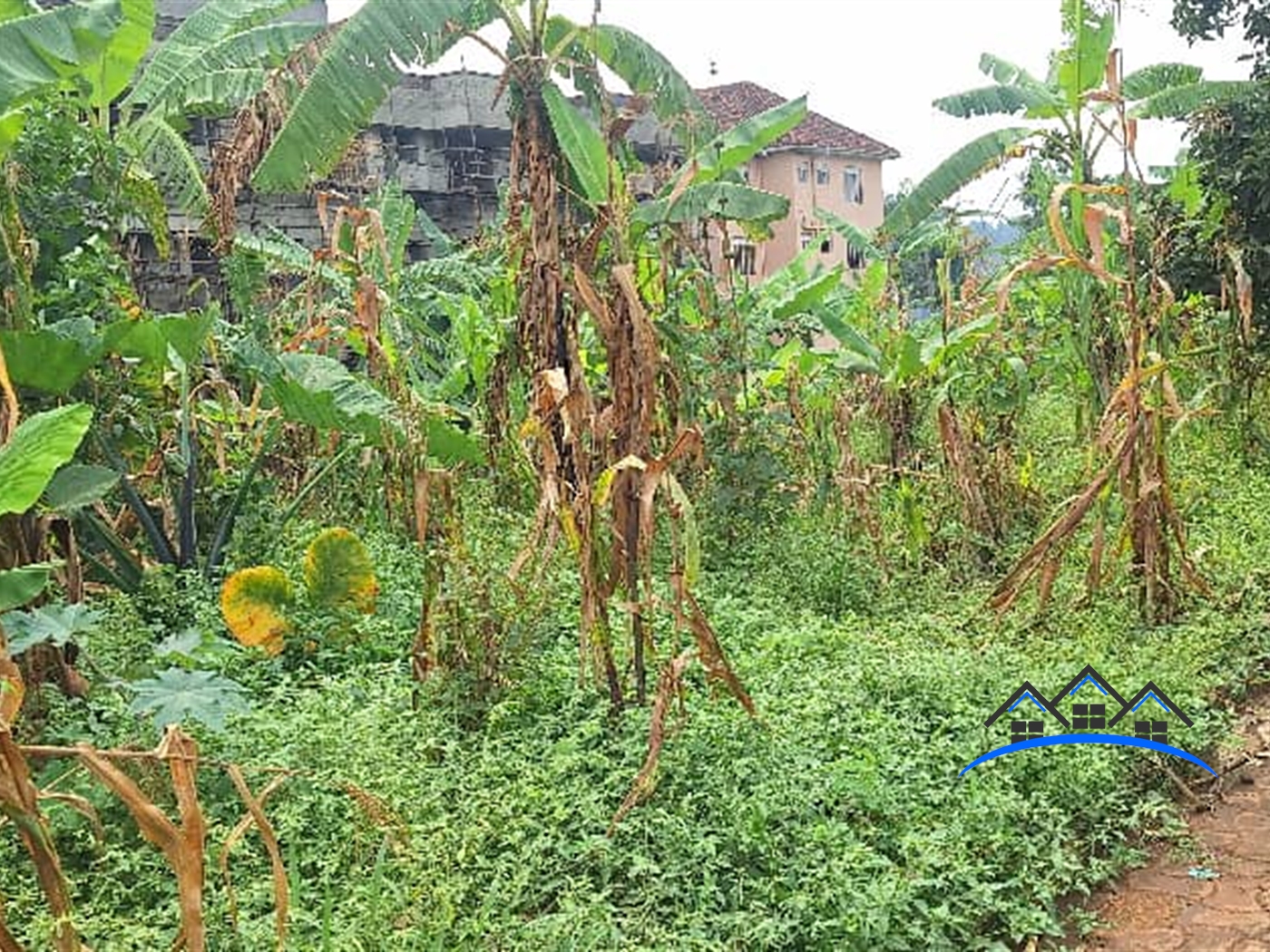 Residential Land for sale in Kyanja Wakiso