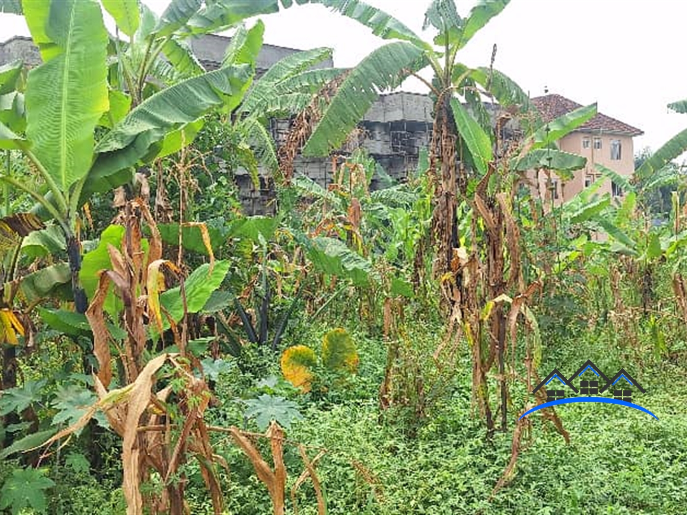 Residential Land for sale in Kyanja Wakiso