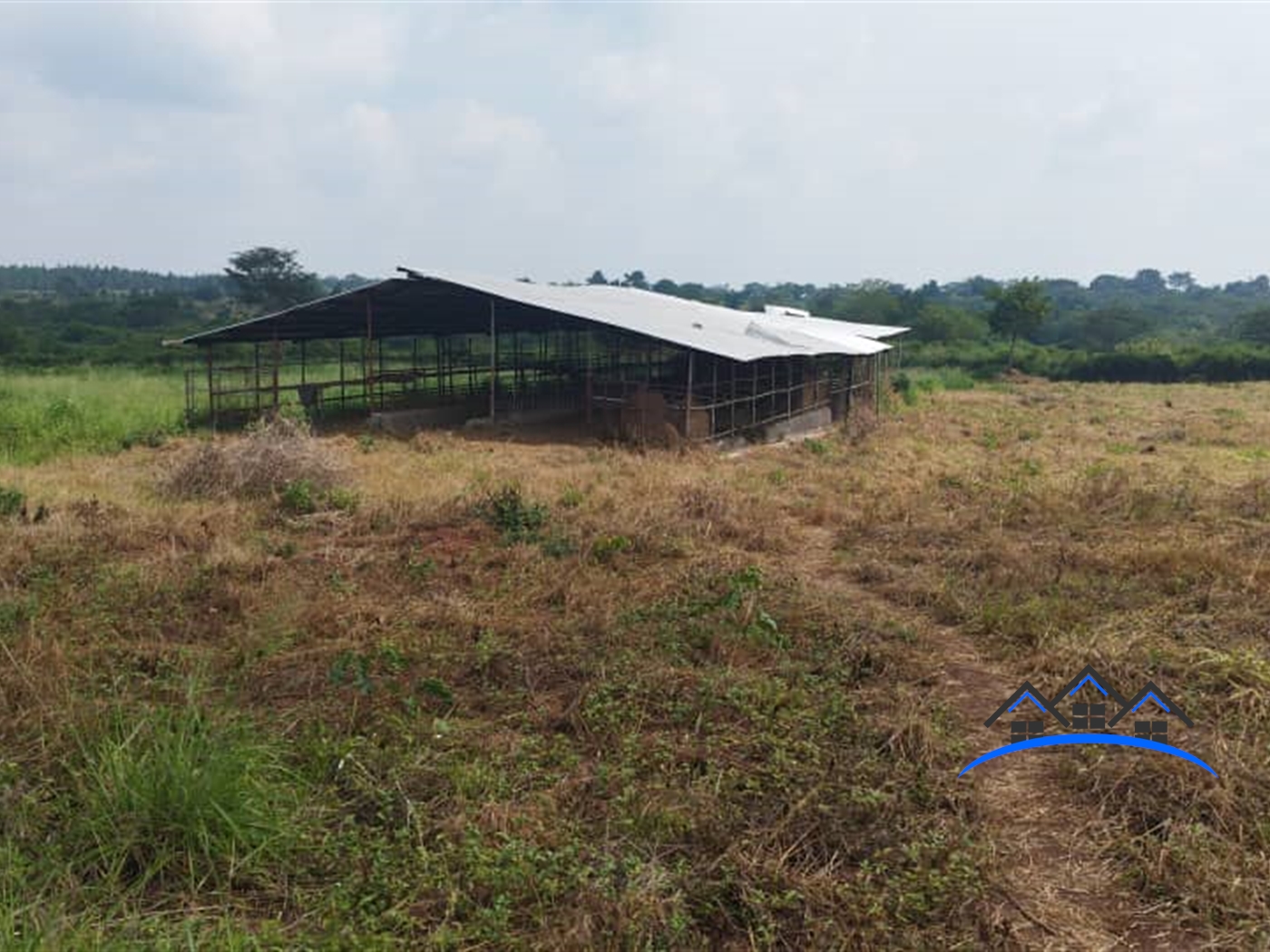 Farm for sale in Wabinyonyi Nakasongola