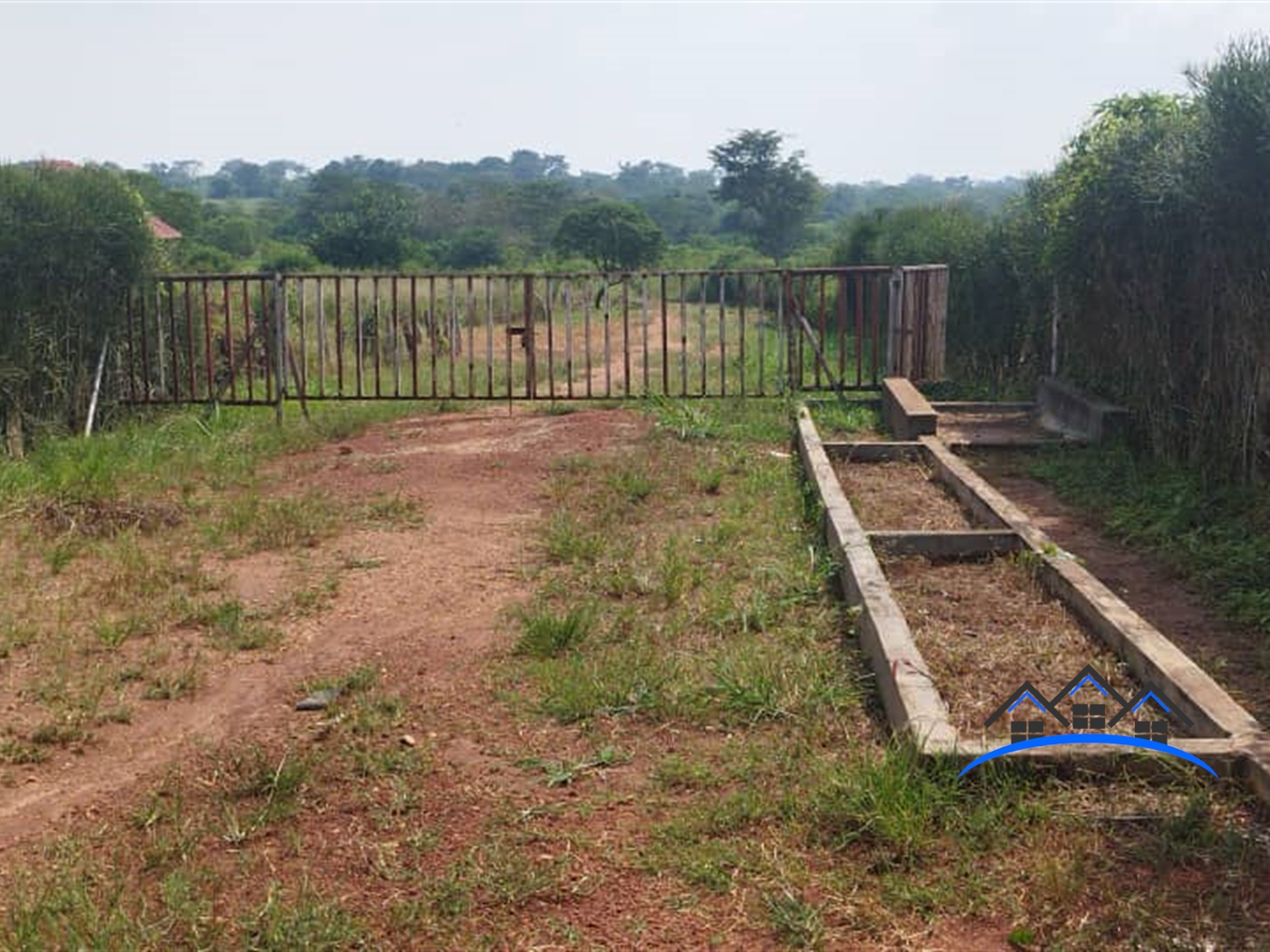 Farm for sale in Wabinyonyi Nakasongola