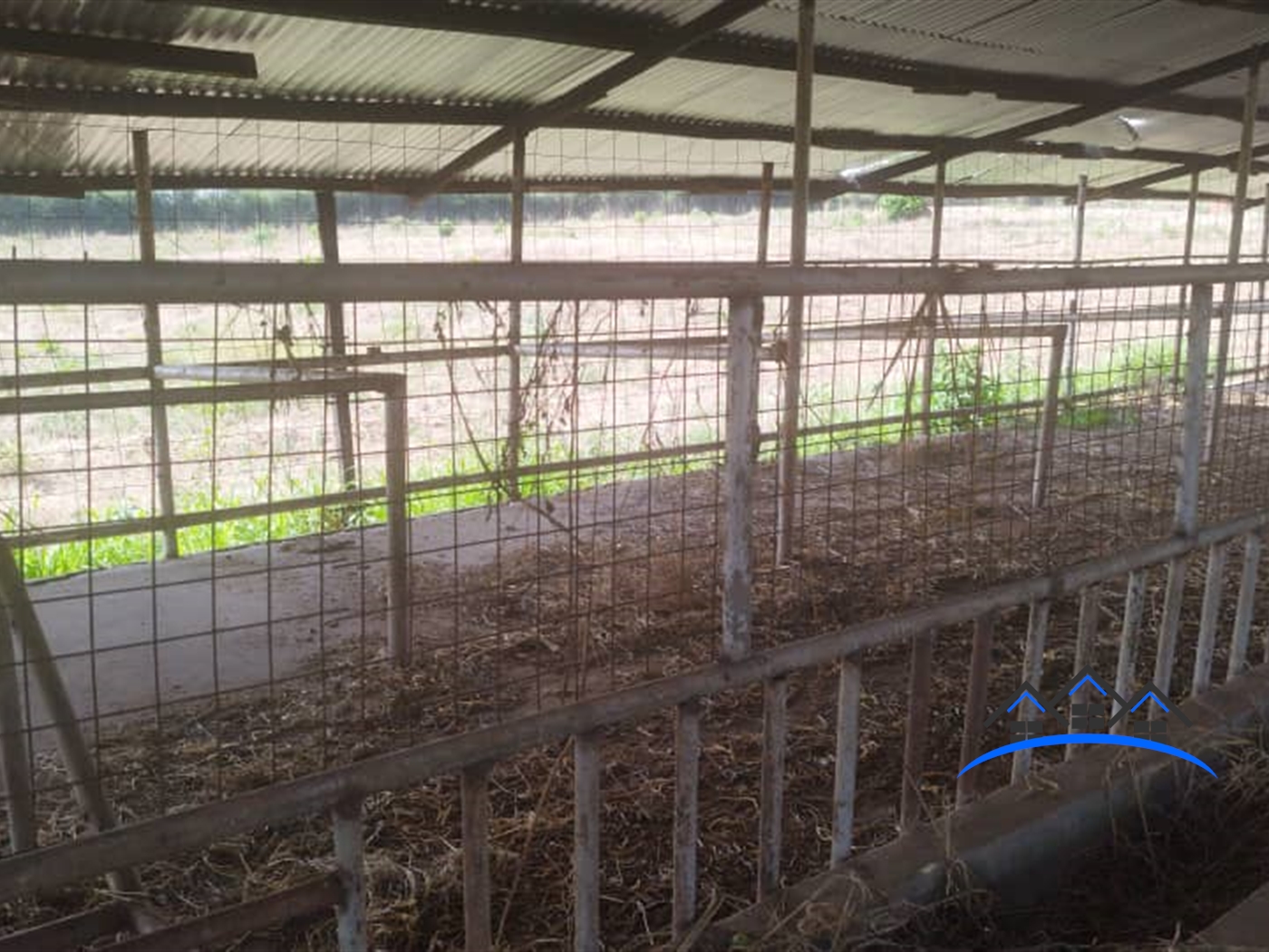 Farm for sale in Wabinyonyi Nakasongola