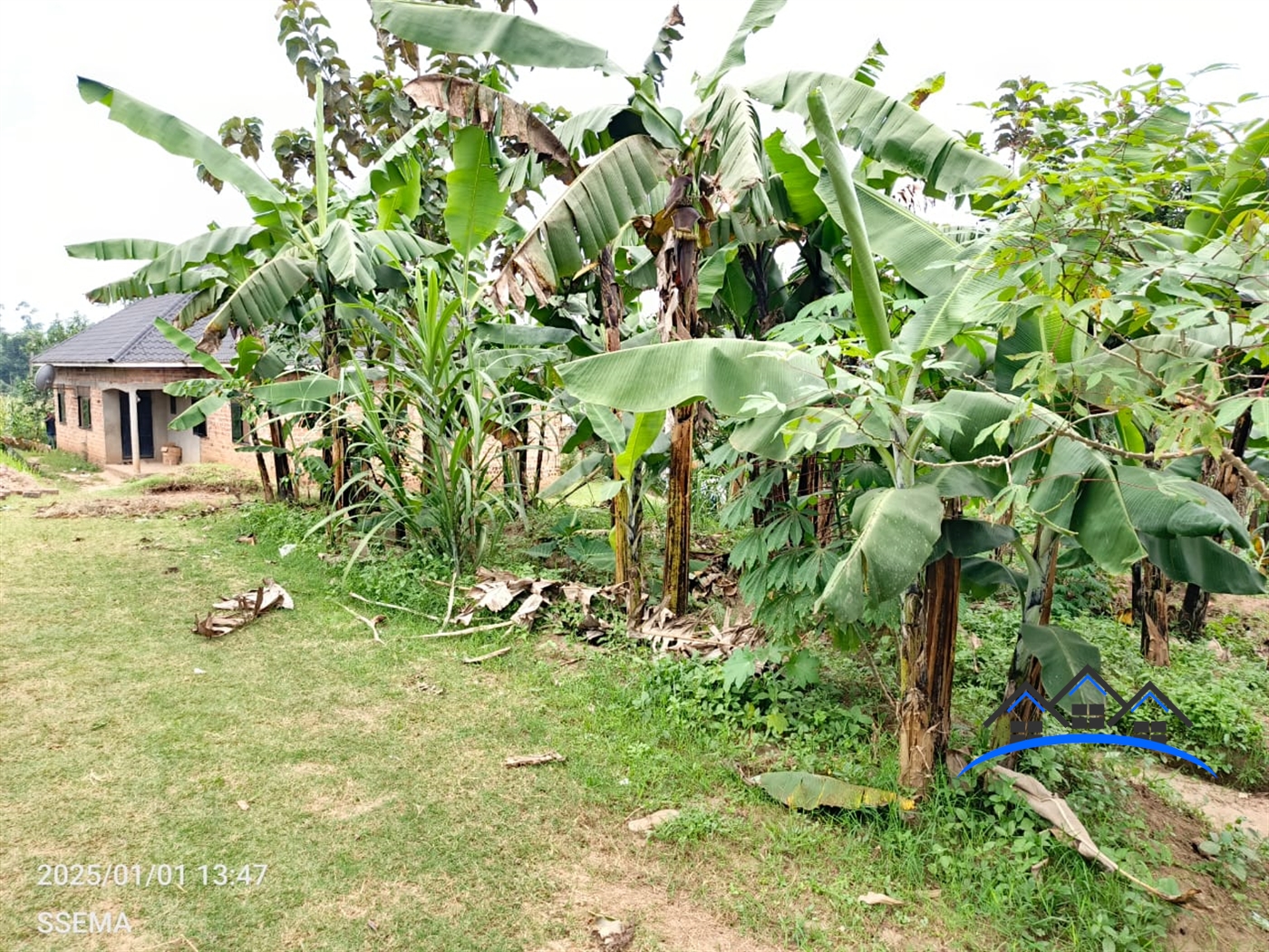 Bungalow for sale in Nsangi Wakiso