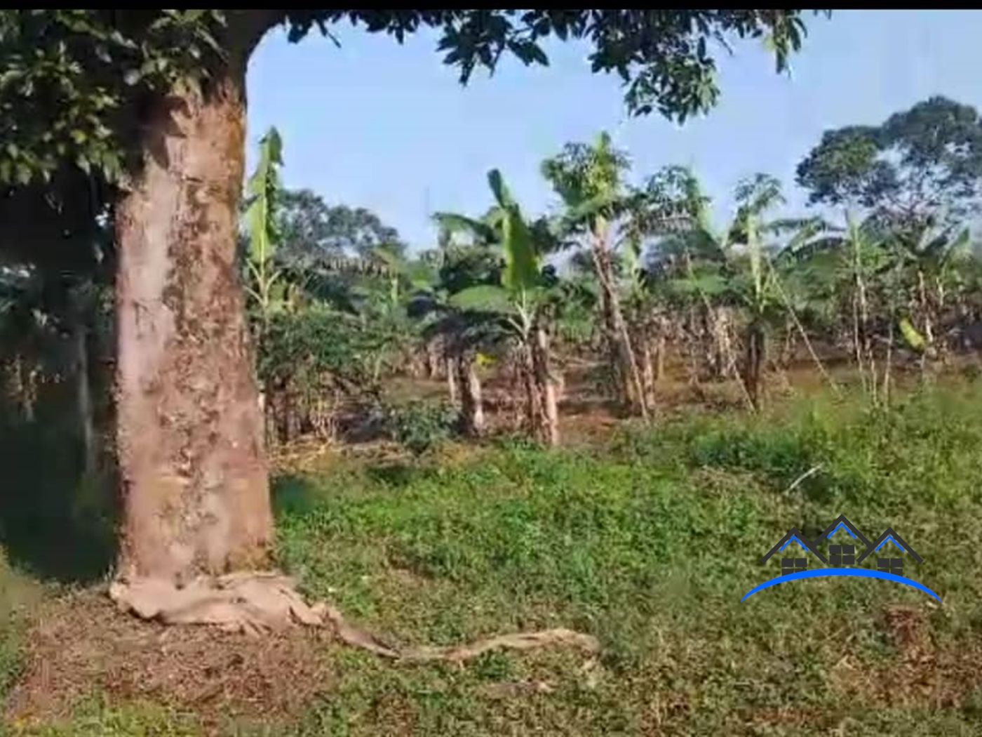 Residential Land for sale in Zigoti Mityana