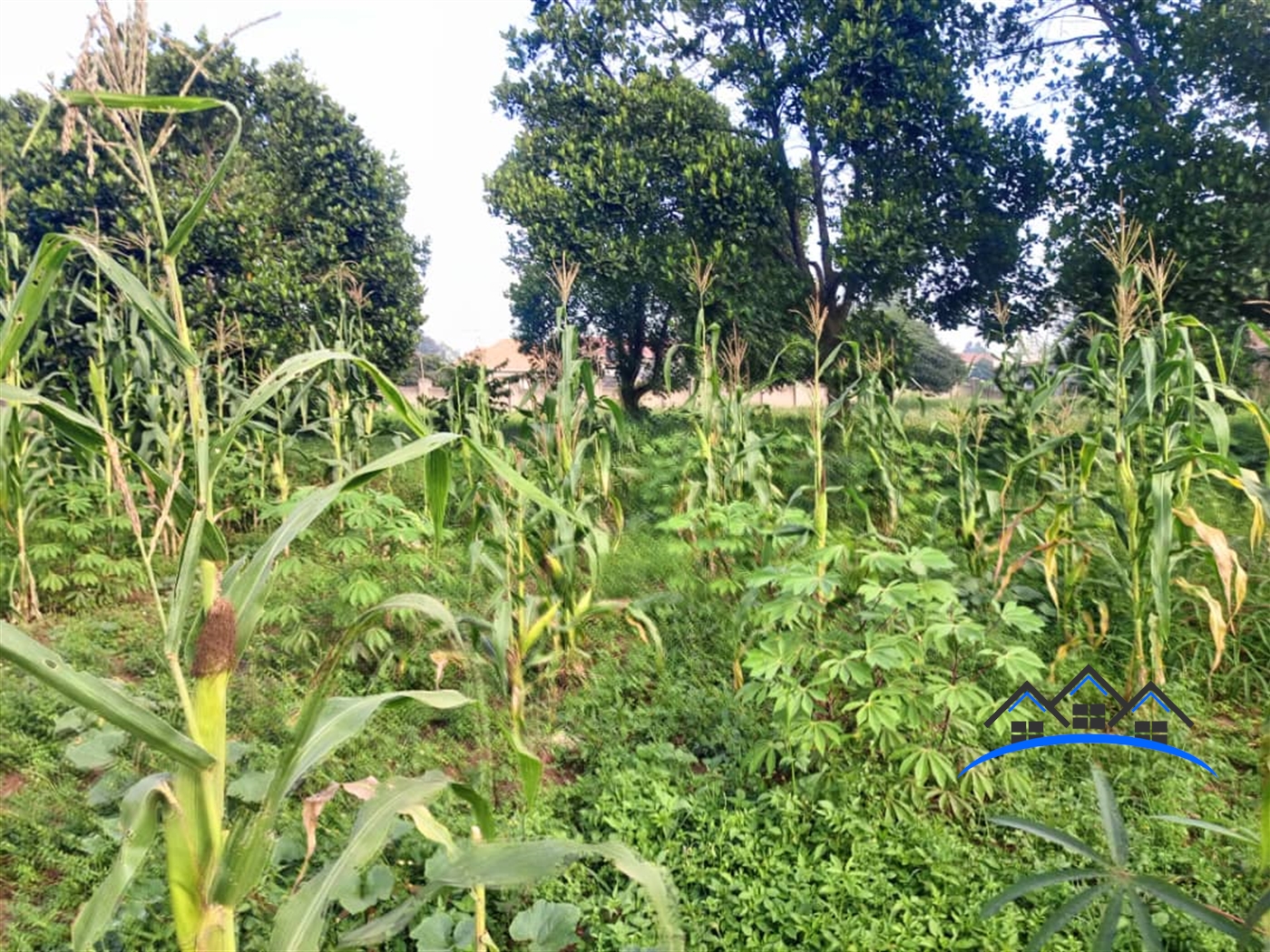 Residential Land for sale in Seeta Mukono