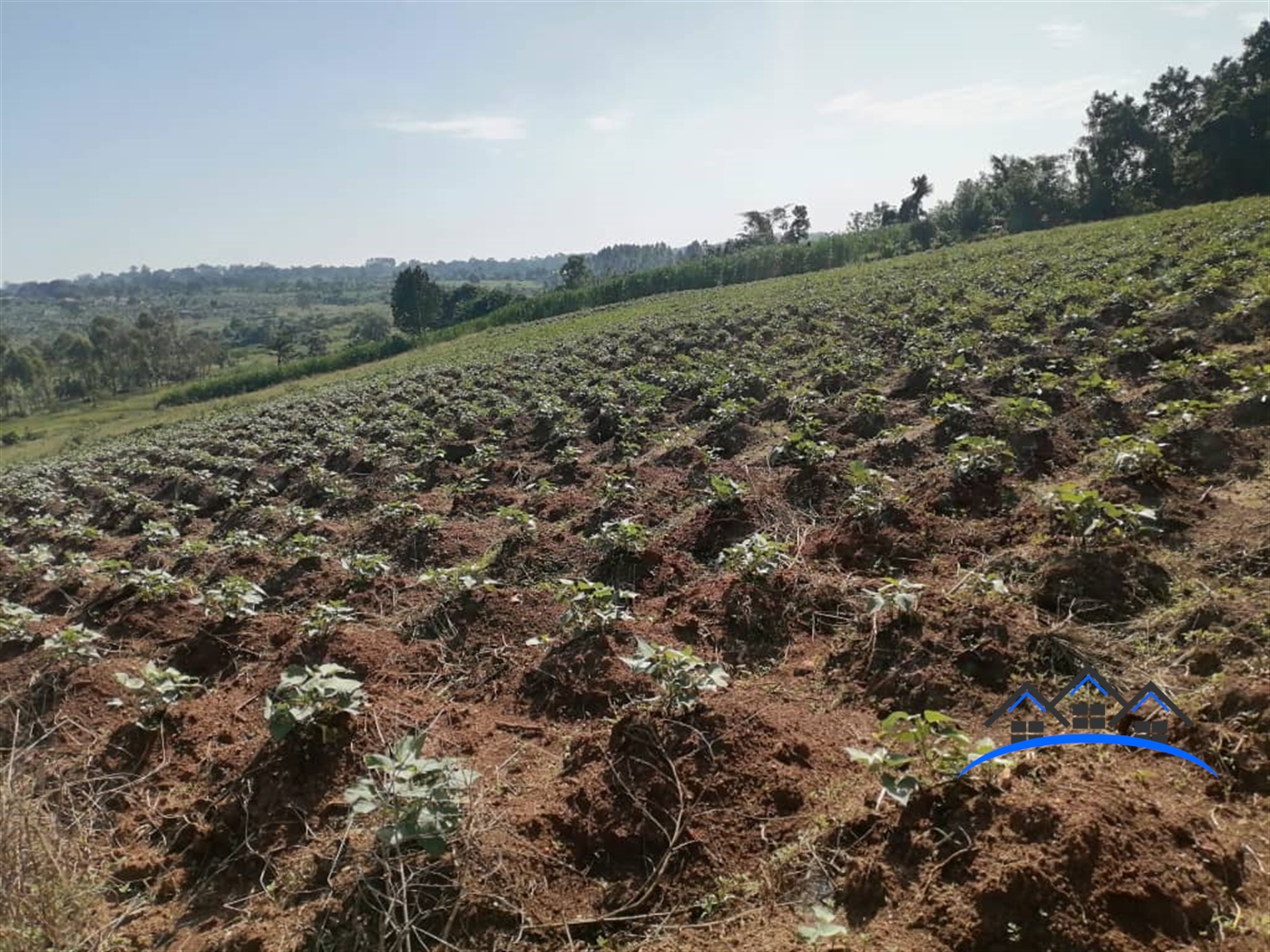 Residential Land for sale in Gayaza Wakiso