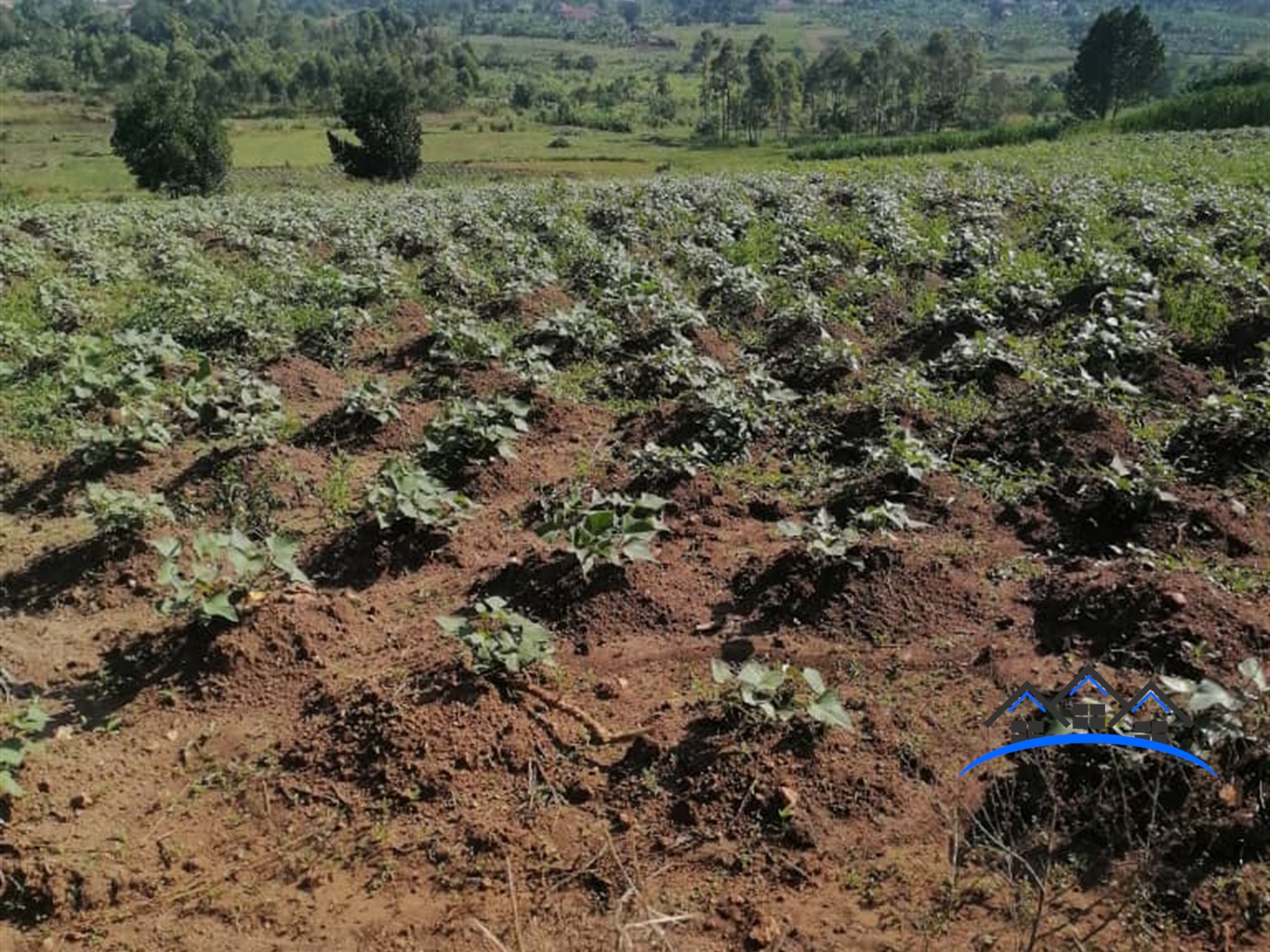 Residential Land for sale in Gayaza Wakiso