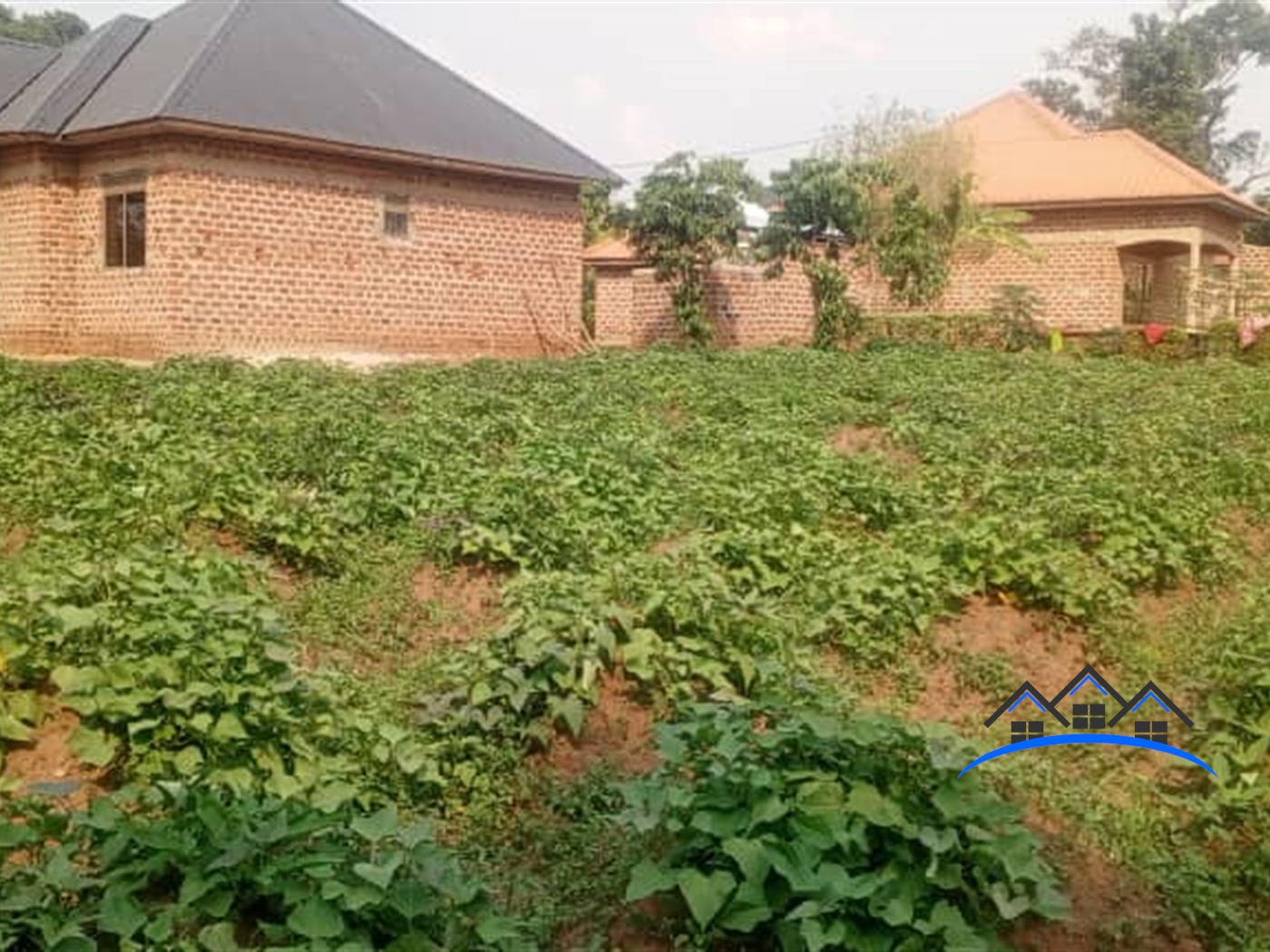 Bungalow for sale in Matugga Wakiso