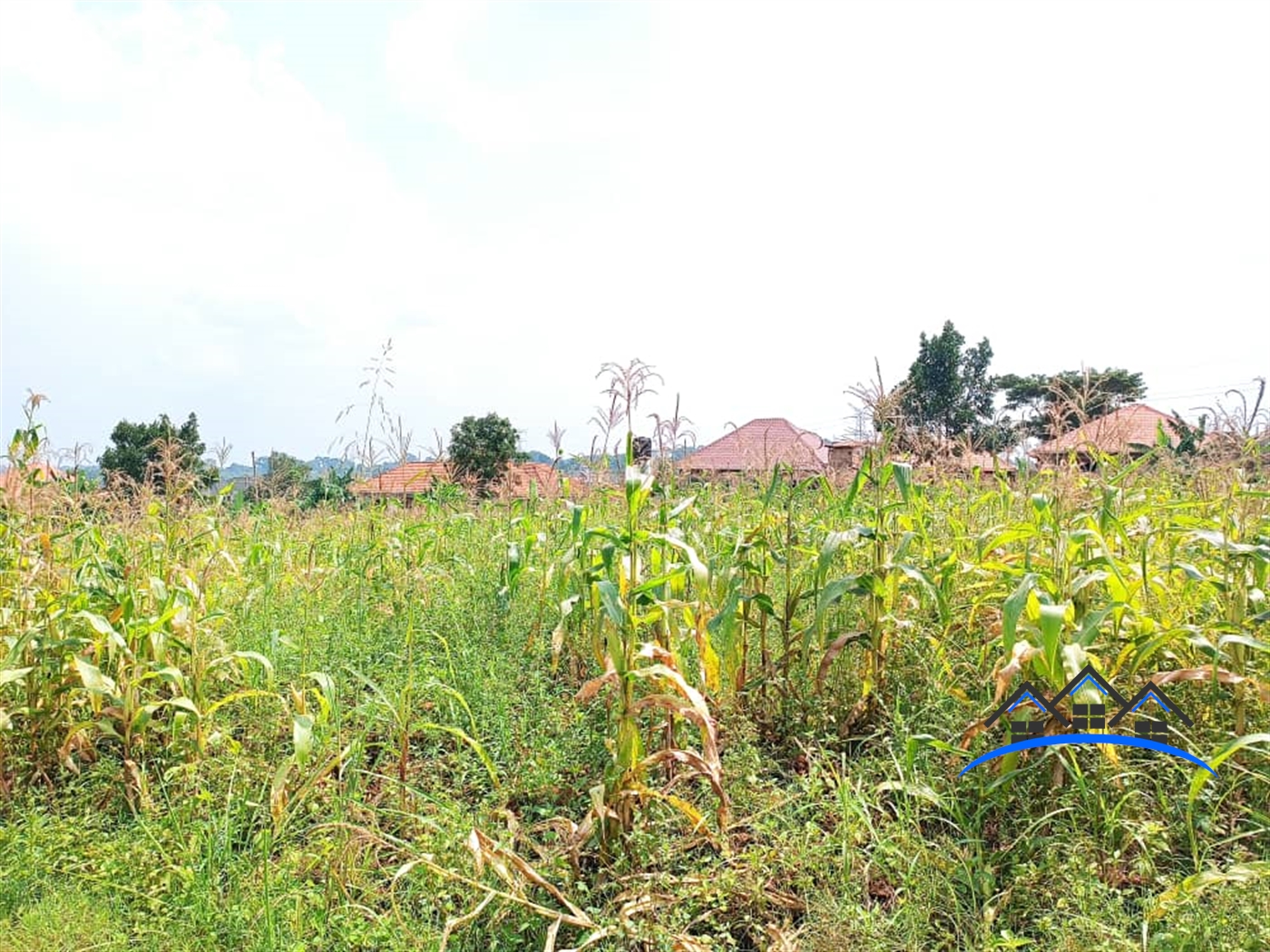 Residential Land for sale in Namugongo Wakiso