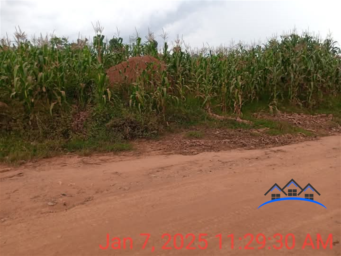 Residential Land for sale in Ntenjjeru Mukono